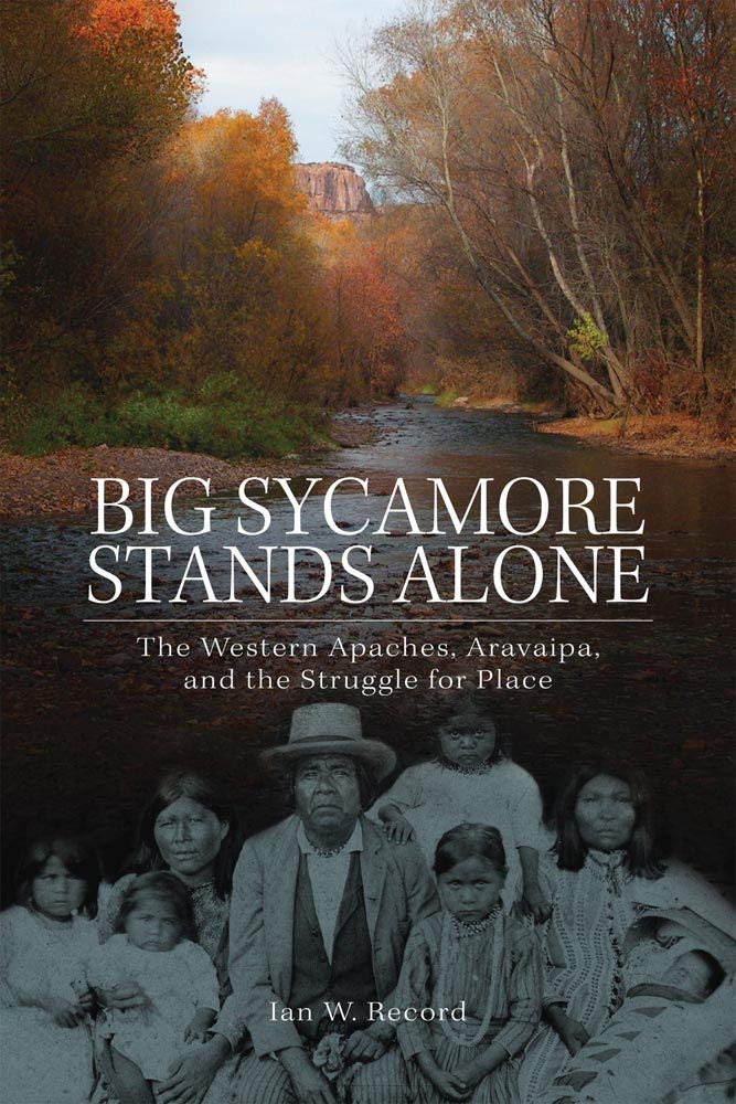 Big Sycamore Stands Alone: The Western Apaches, Aravaipa, and the Struggle for Place (Volume 1) (New Directions in Native Americ,Used