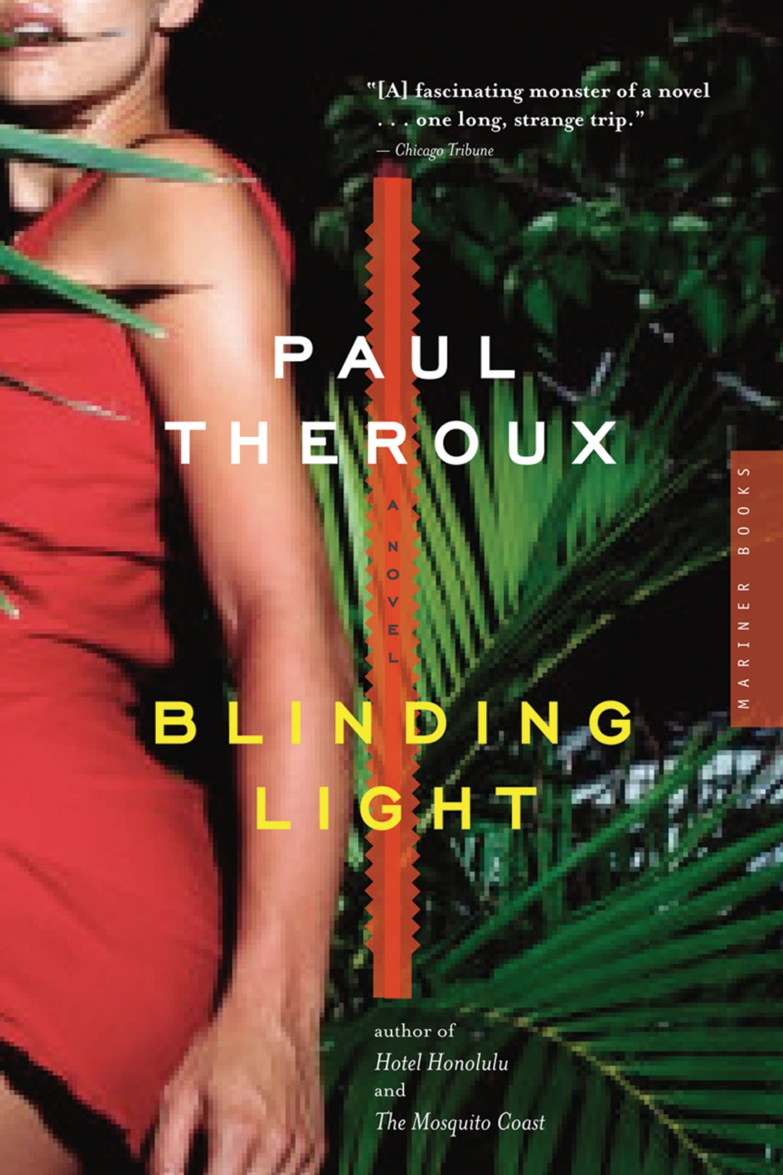 Blinding Light: A Novel,Used