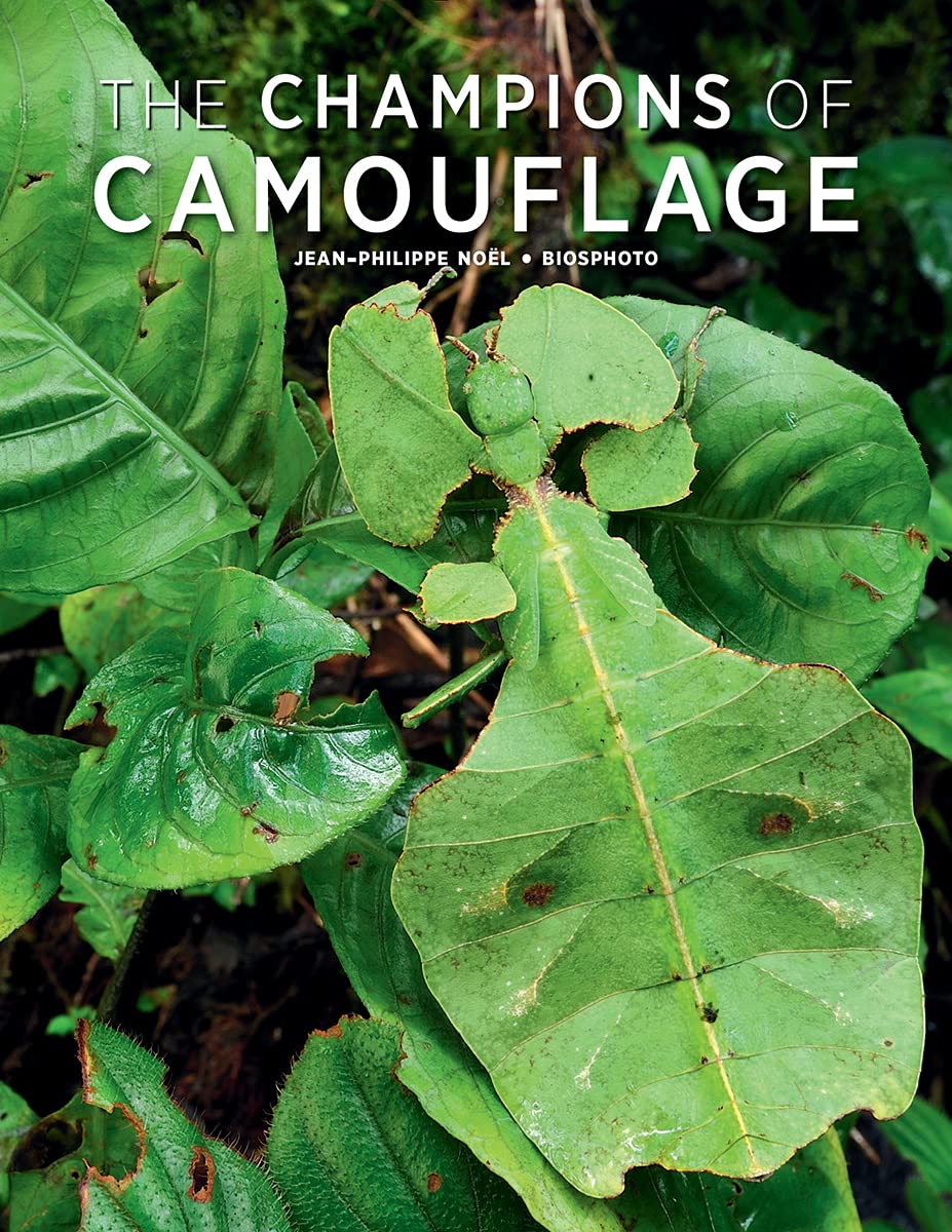 The Champions Of Camouflage,Used