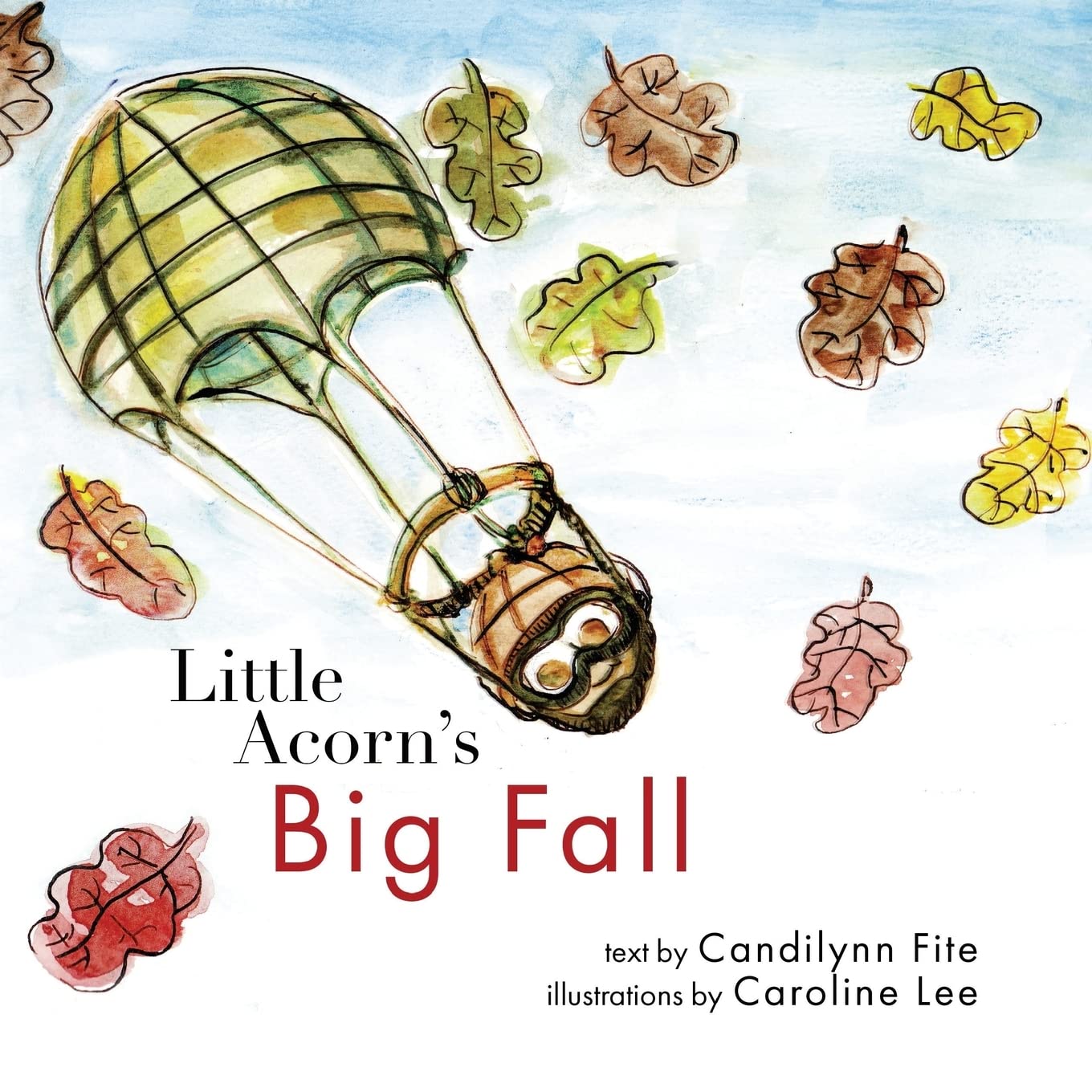Little Acorn'S Big Fall,Used