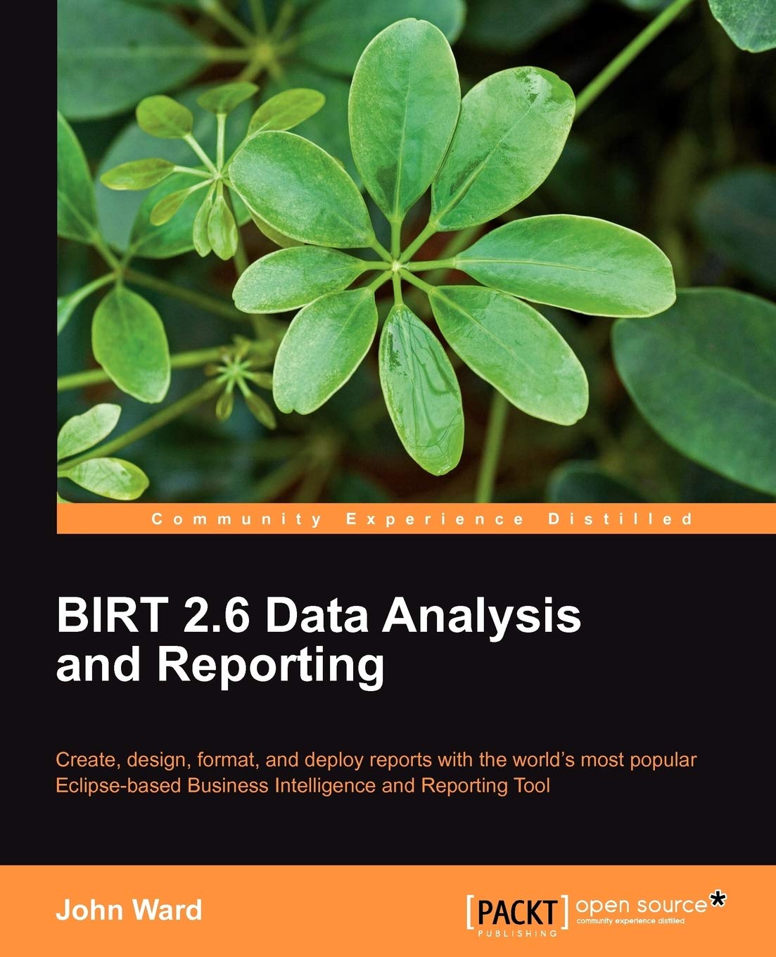 Birt 2.6 Data Analysis And Reporting: Create, Design, Format, And Deploy Reports With The World'S Most Popular Eclipsebased Bus,Used