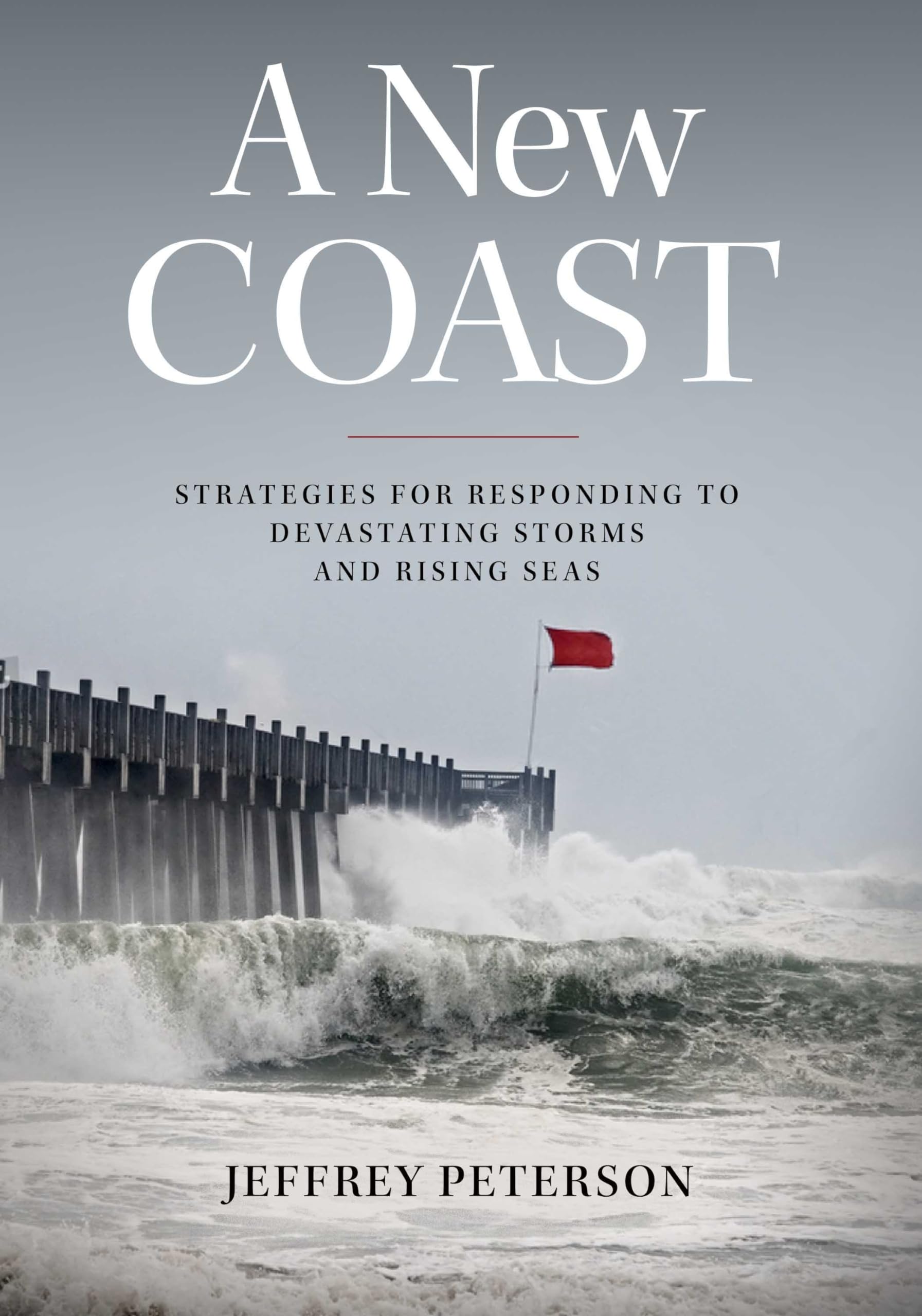 A New Coast: Strategies for Responding to Devastating Storms and Rising Seas,Used