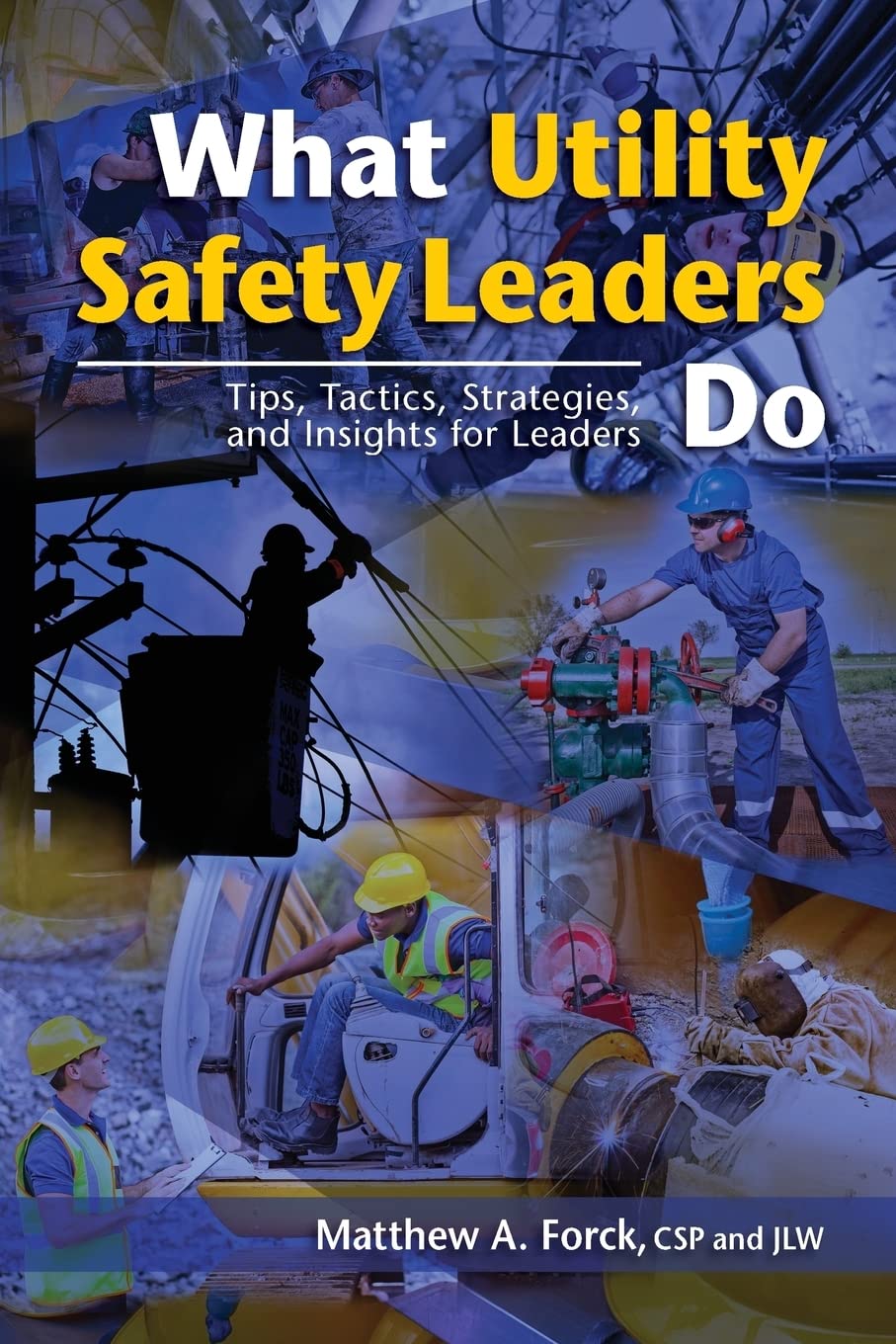 What Utility Safety Leaders Do: Tips, Tactics, Strategies and Insights for Leaders,Used