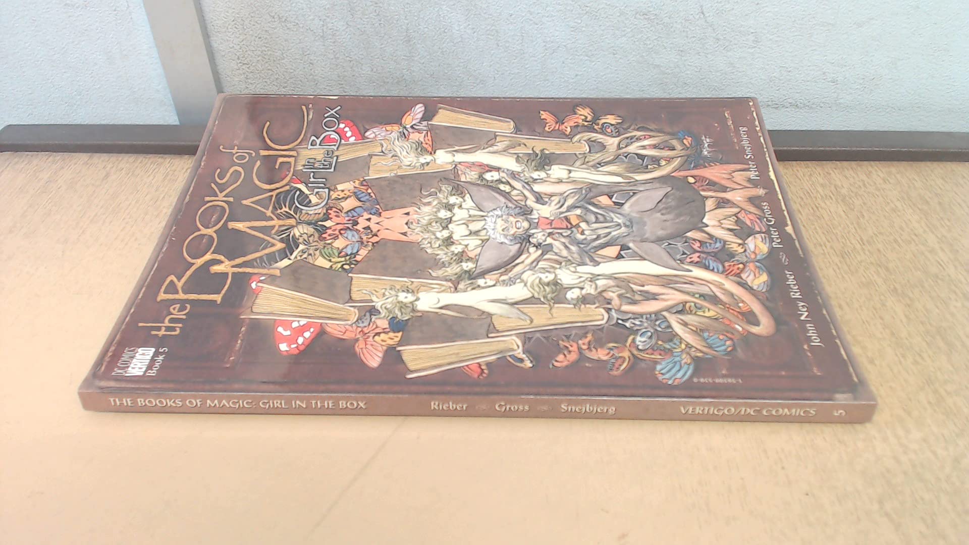 Books of Magic: The: Girl in the Box Book 5,Used