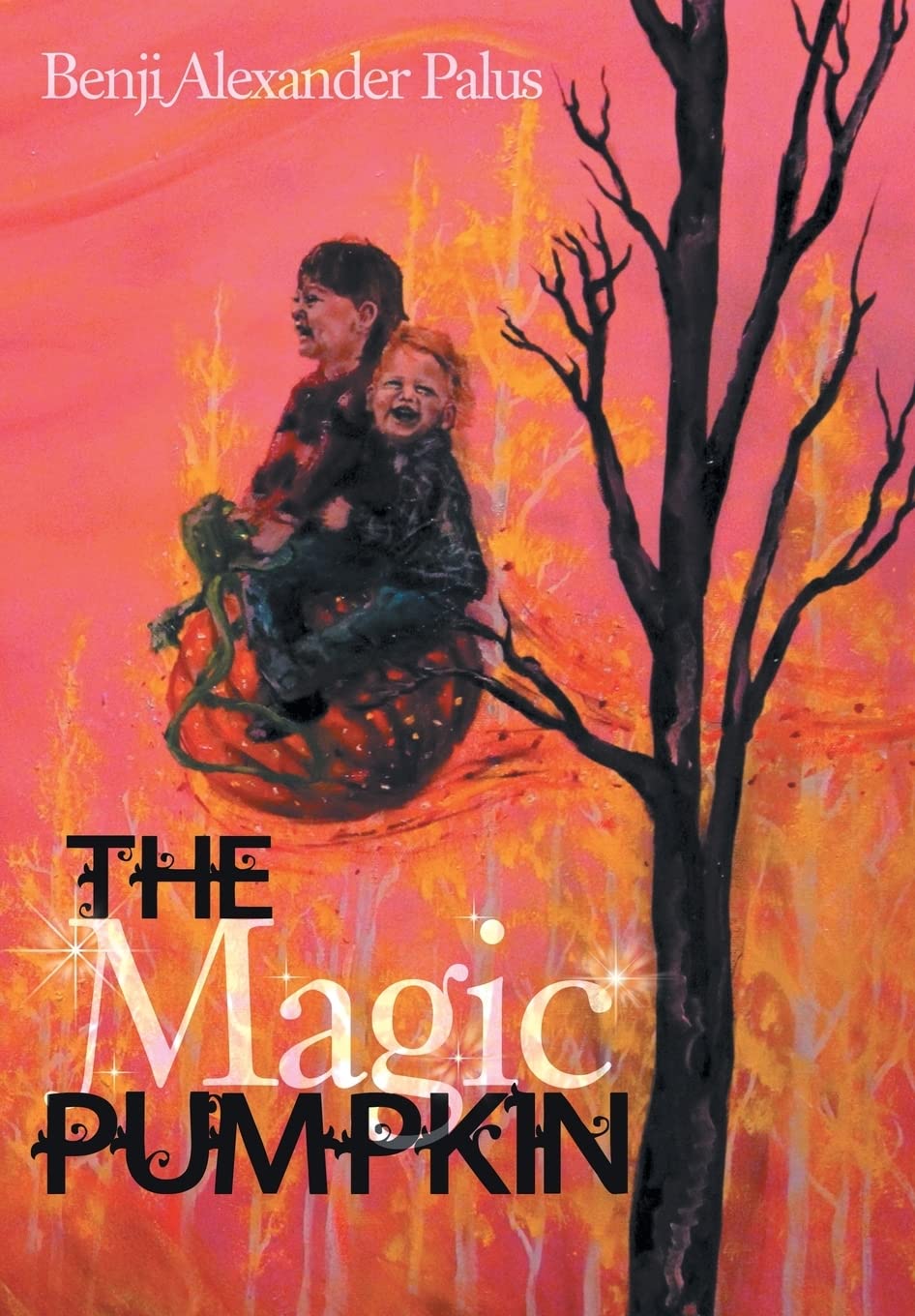 The Magic Pumpkin,Used