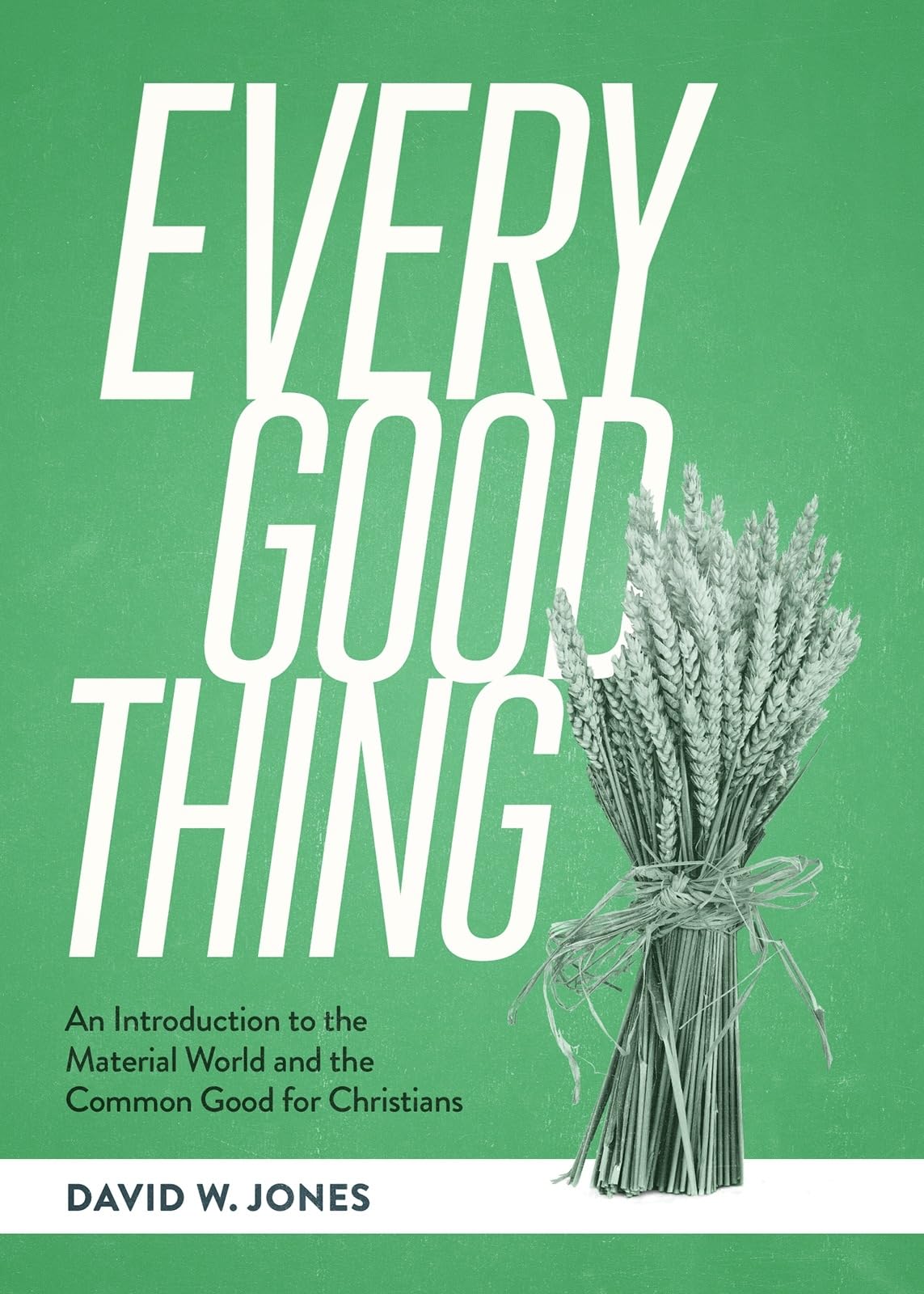 Every Good Thing: An Introduction to the Material World and the Common Good for Christians,Used