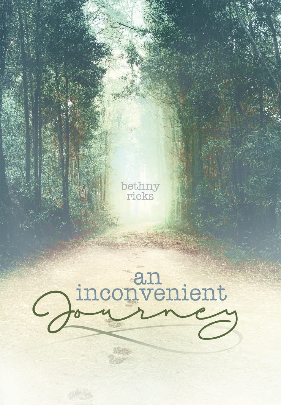 An inconvenient journey,Used