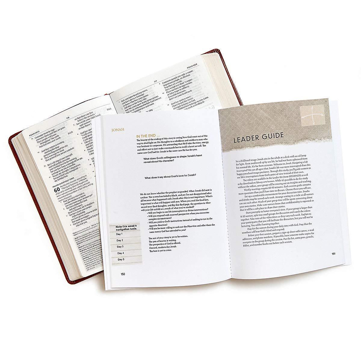 Jonah: Navigating a Life Interrupted (Bible Study Book),Used