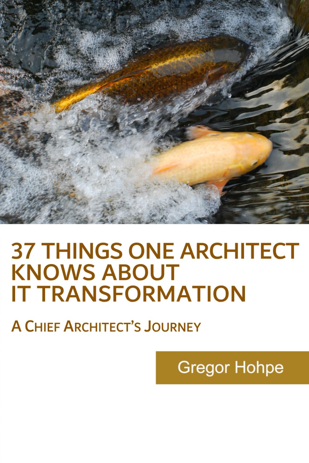 37 Things One Architect Knows About IT Transformation: A Chief Architects Journey,Used
