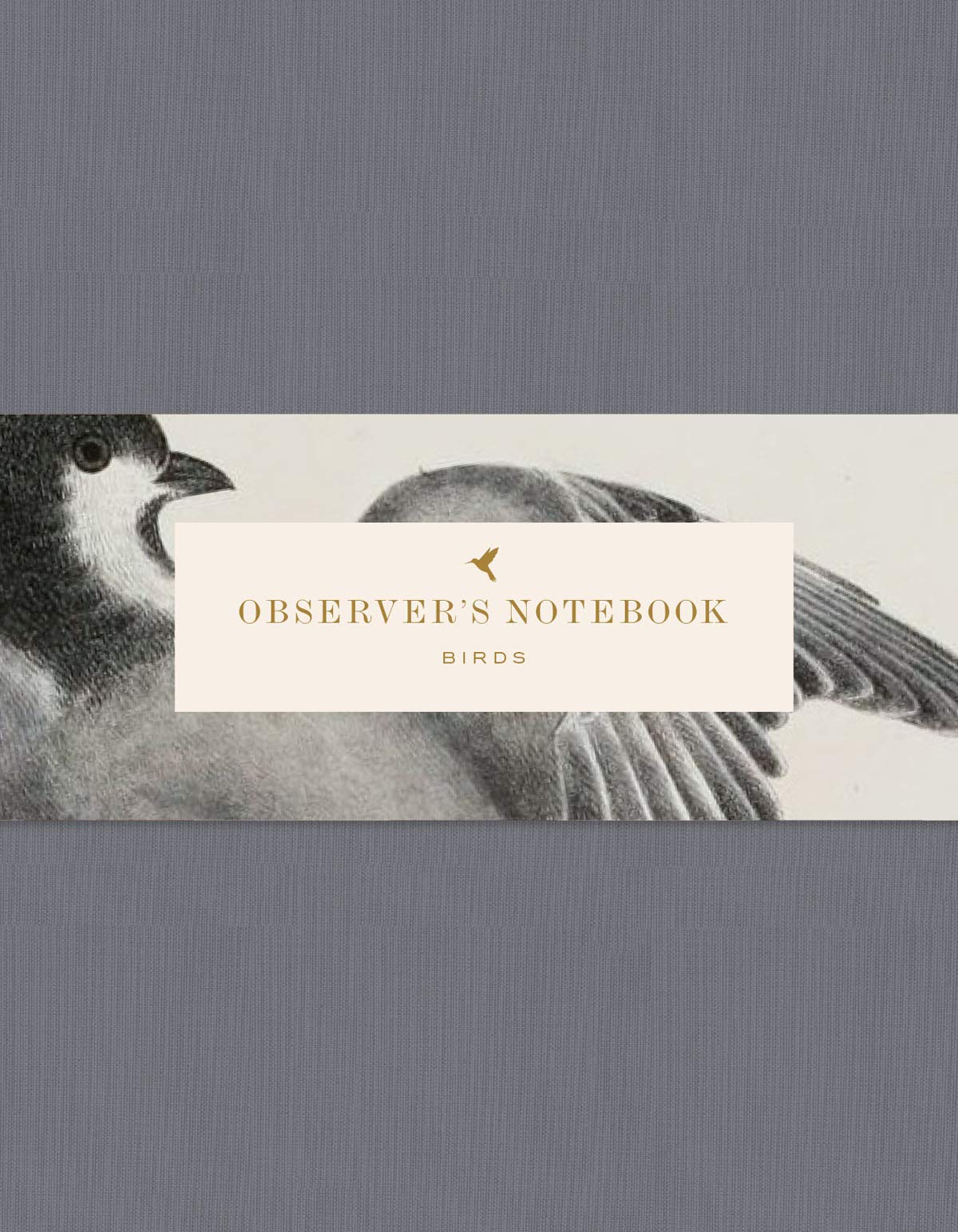 Observer'S Notebook: Birds (The Perfect Journal For Bird Watchers)