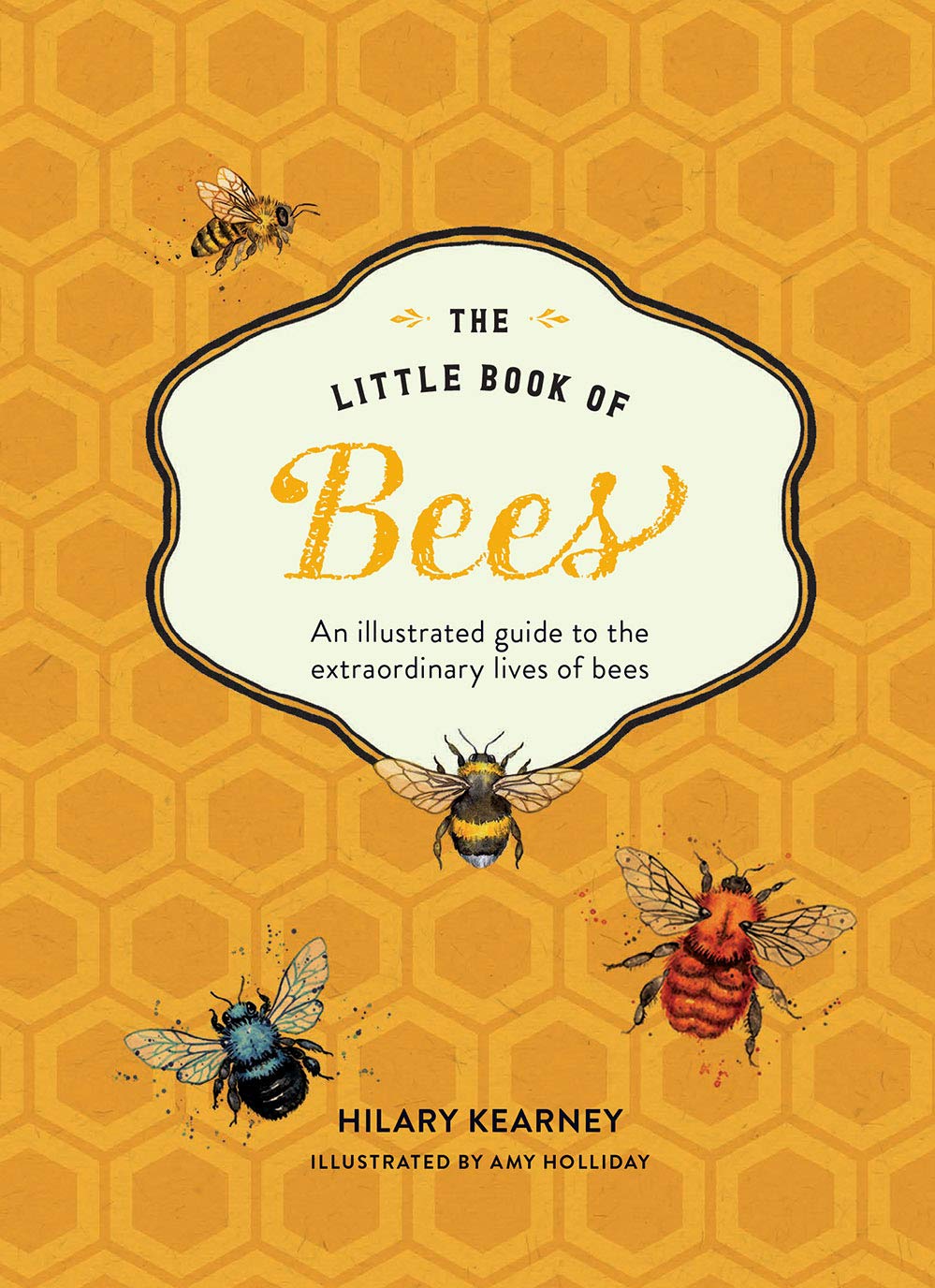 The Little Book of Bees: An Illustrated Guide to the Extraordinary Lives of Bees,New