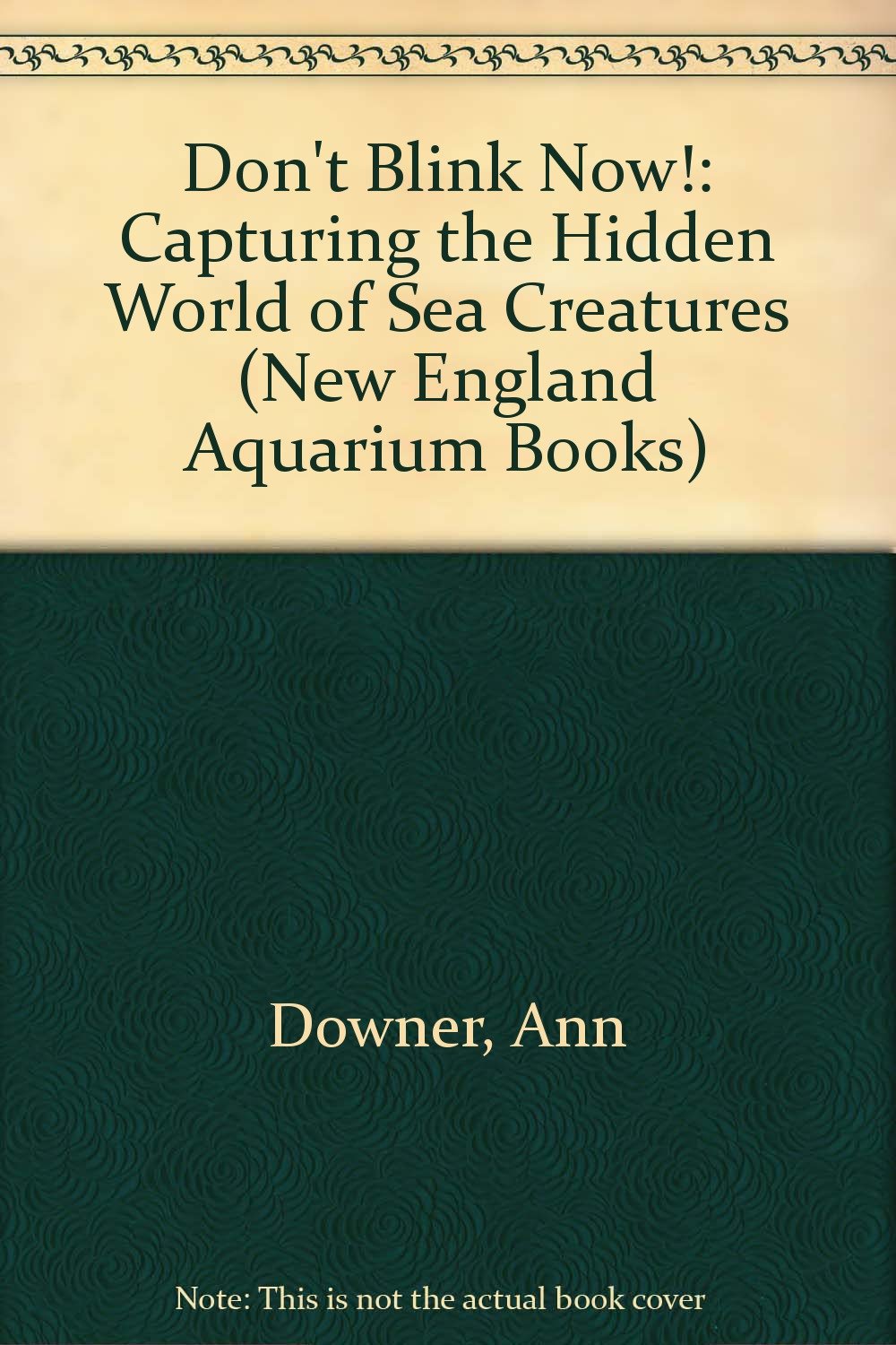Don't Blink Now!: Capturing the Hidden World of Sea Creatures (New England Aquarium Books),Used