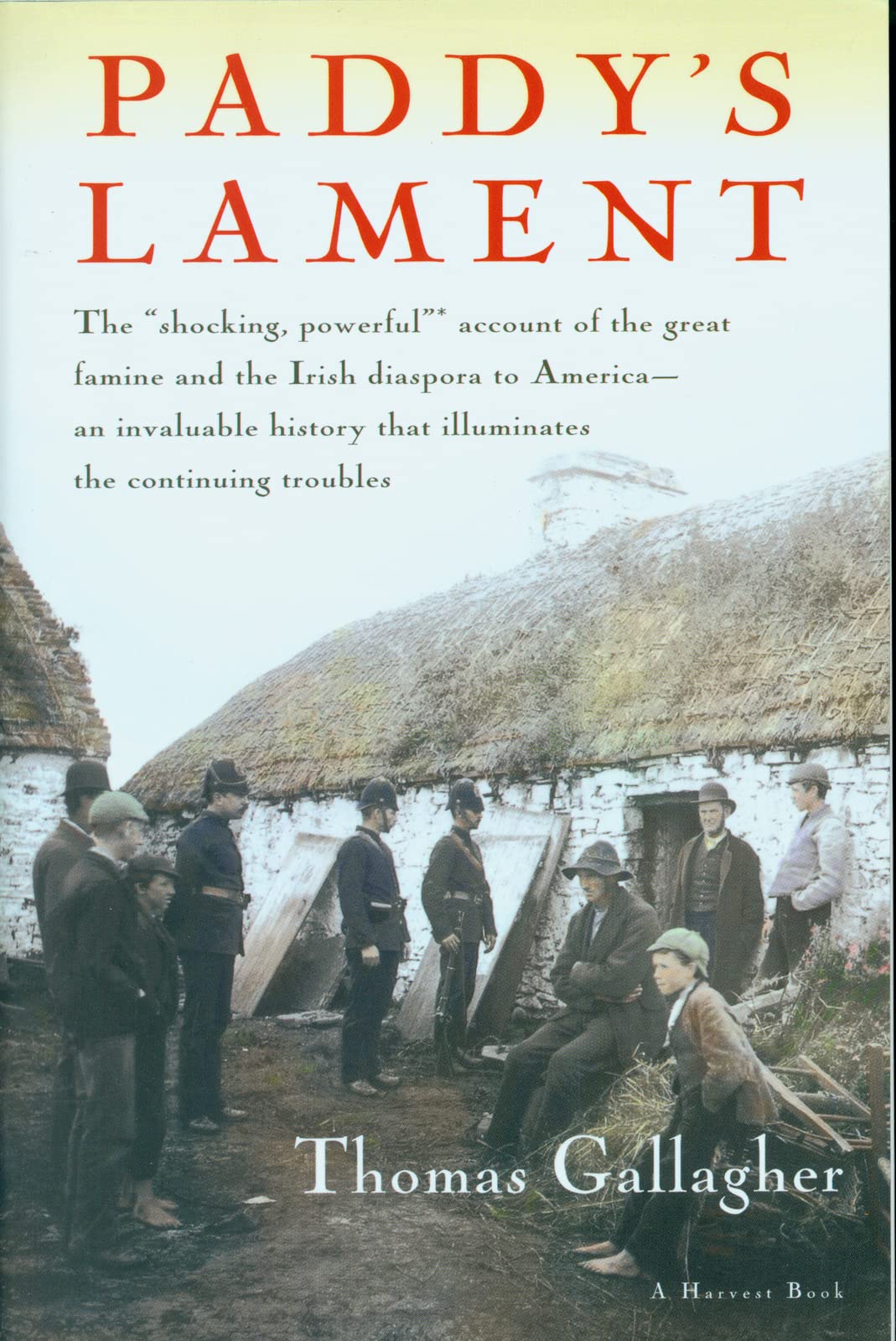 Paddy's Lament, Ireland 18461847: Prelude to Hatred,New
