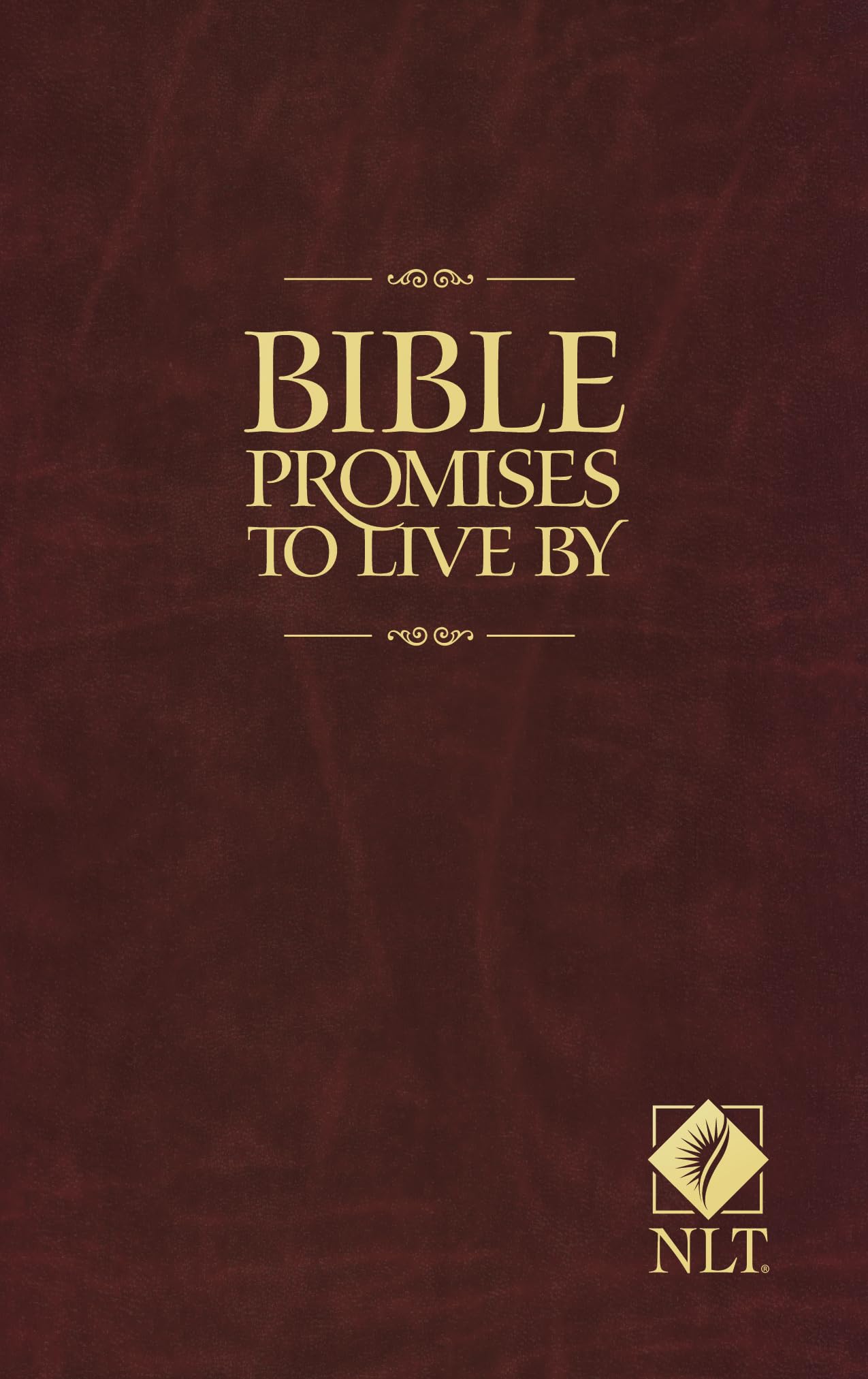 Bible Promises to Live By,Used