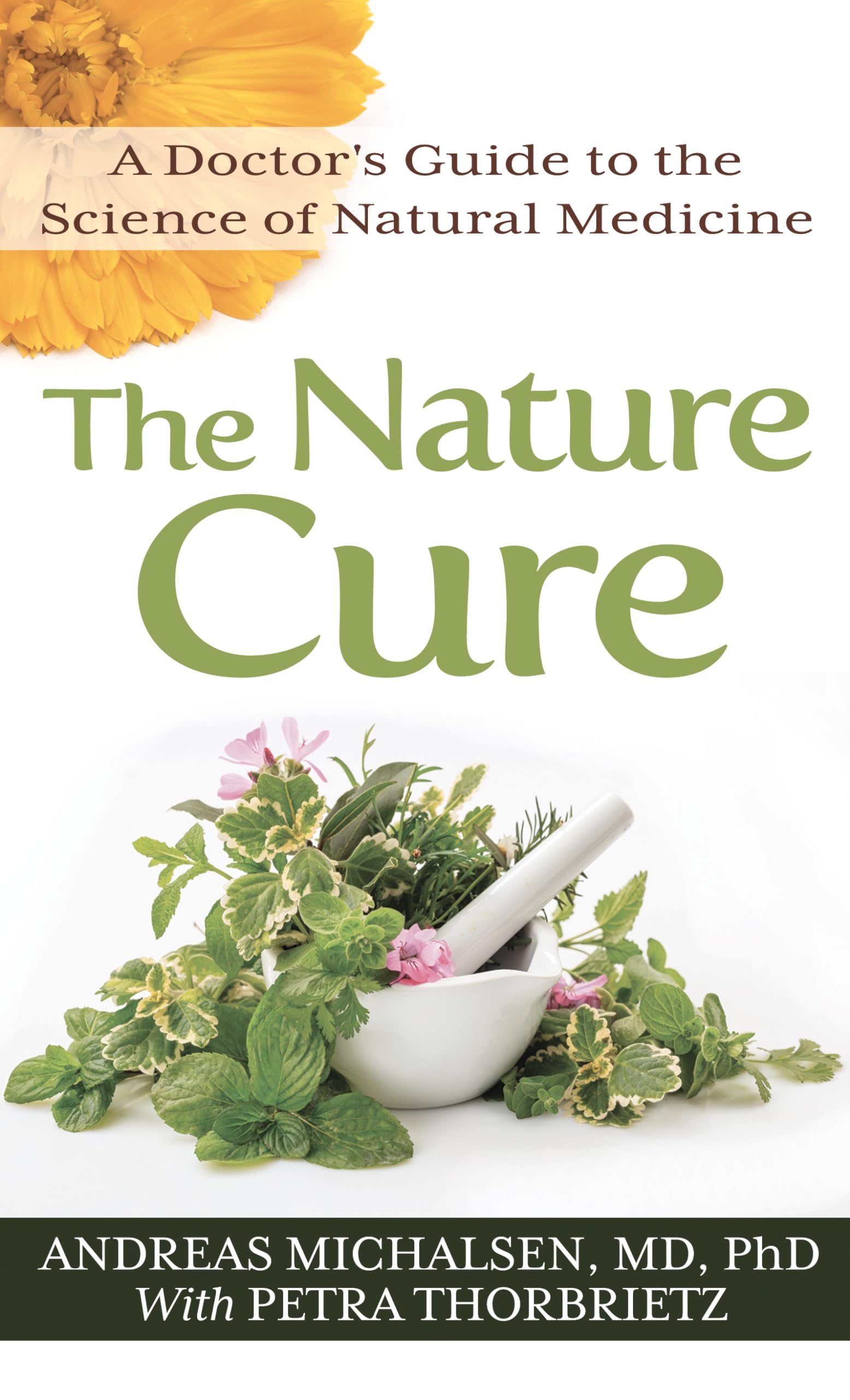 The Nature Cure: A Doctor's Guide to the Science of Natural Medicine (Thorndike Large Print Lifestyles),Used