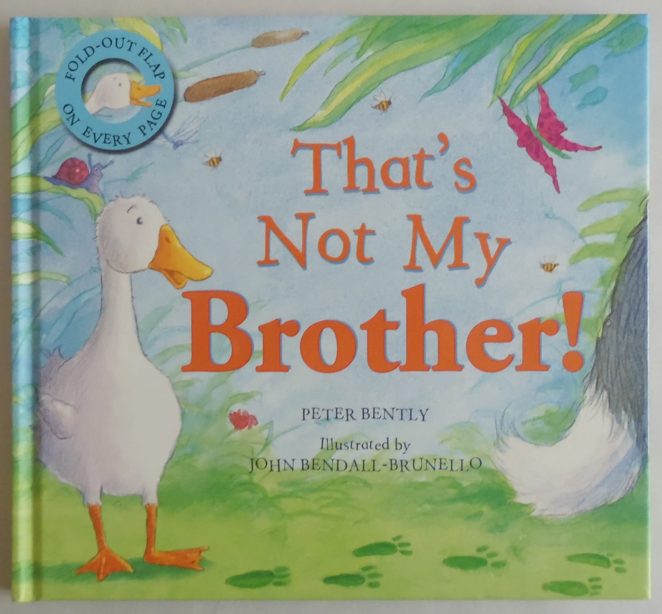 Thats Not My Brother! (Gatefold Picture Book),Used