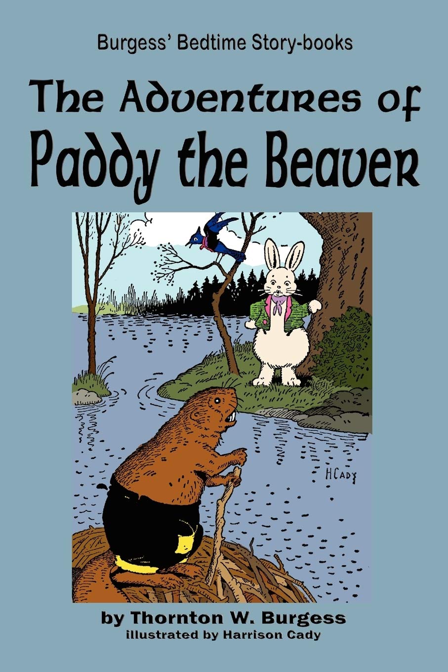The Adventures Of Paddy The Beaver,Used