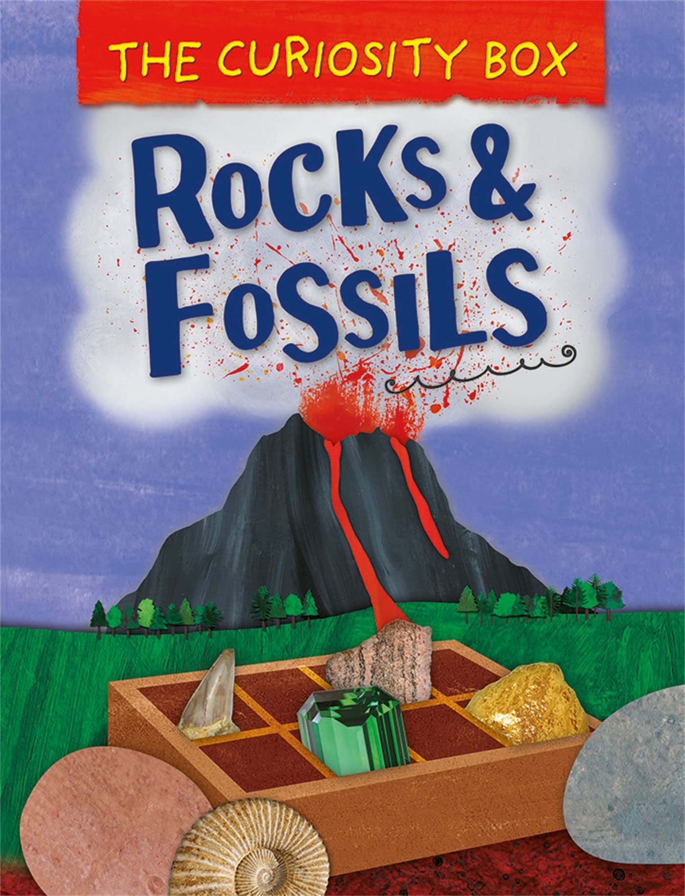 The Curiosity Box: Rocks And Fossils