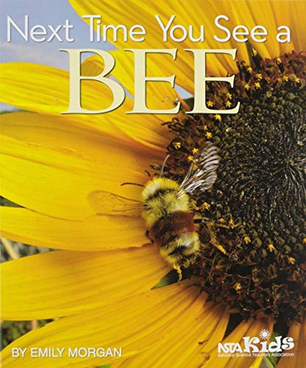 Next Time You See a Bee,Used