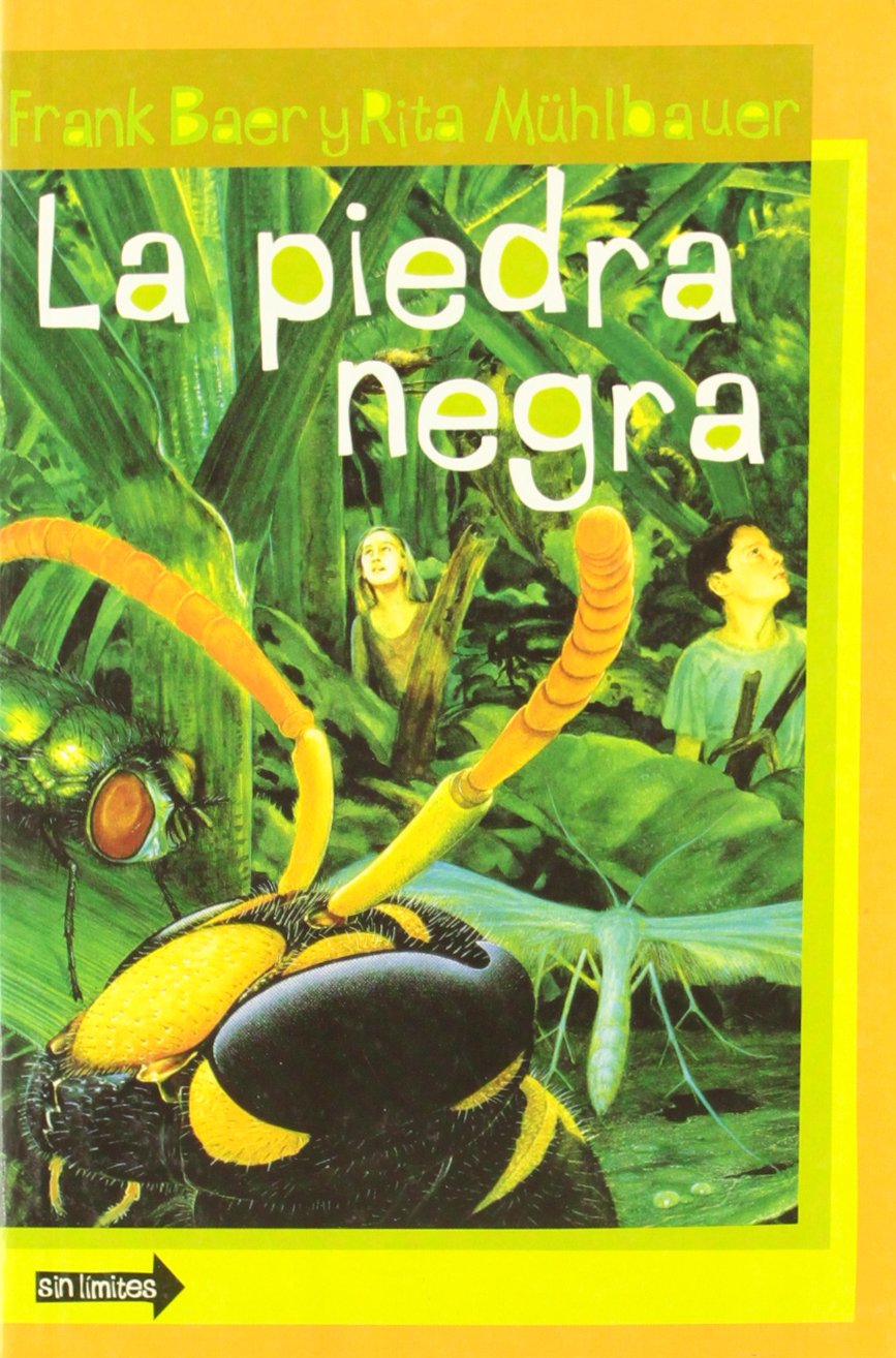La Piedra Negra (Spanish Edition),Used