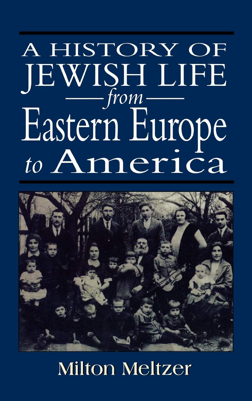 A History of Jewish Life from Eastern Europe to America,Used