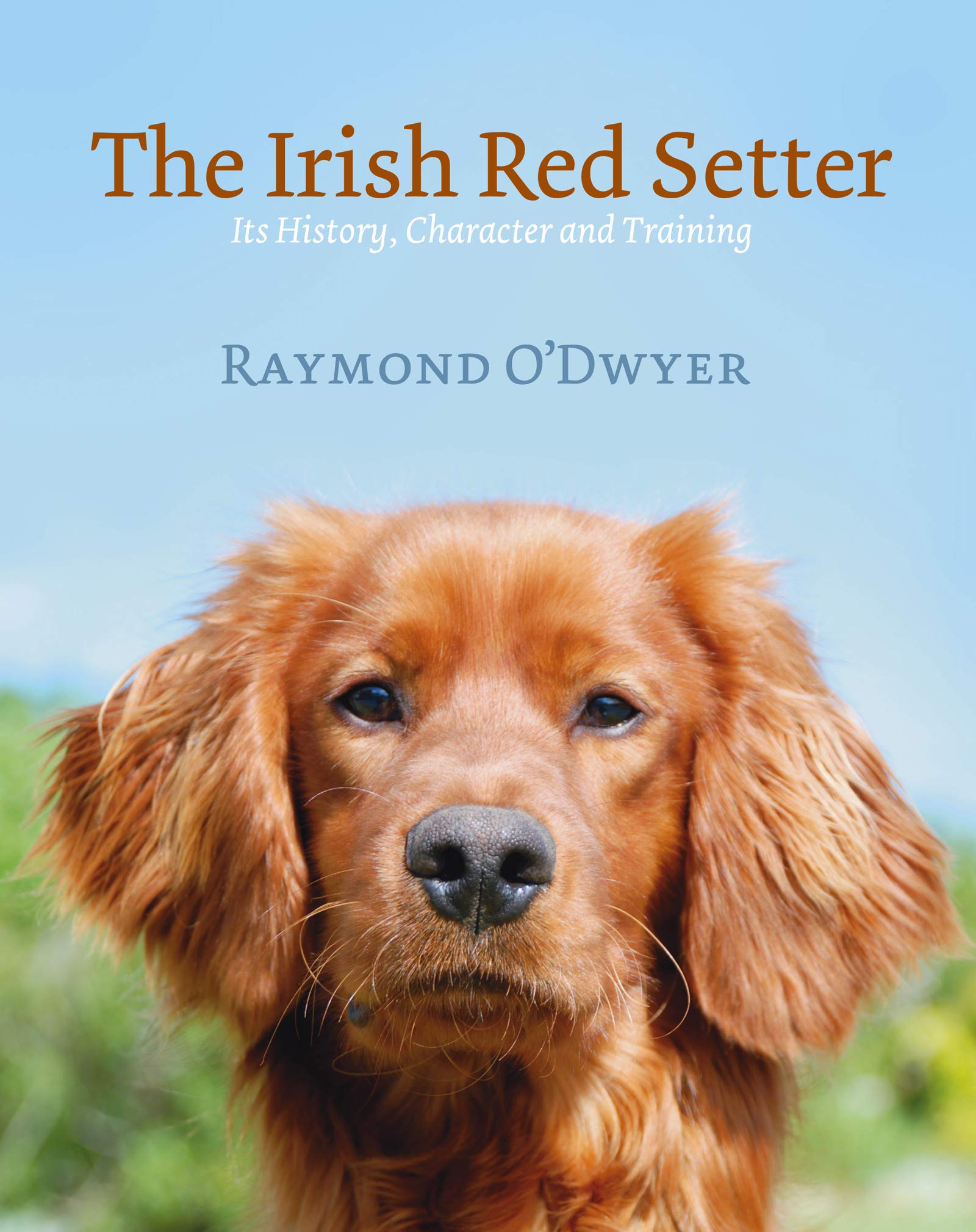 The Irish Red Setter: It's History, Character and Training,Used