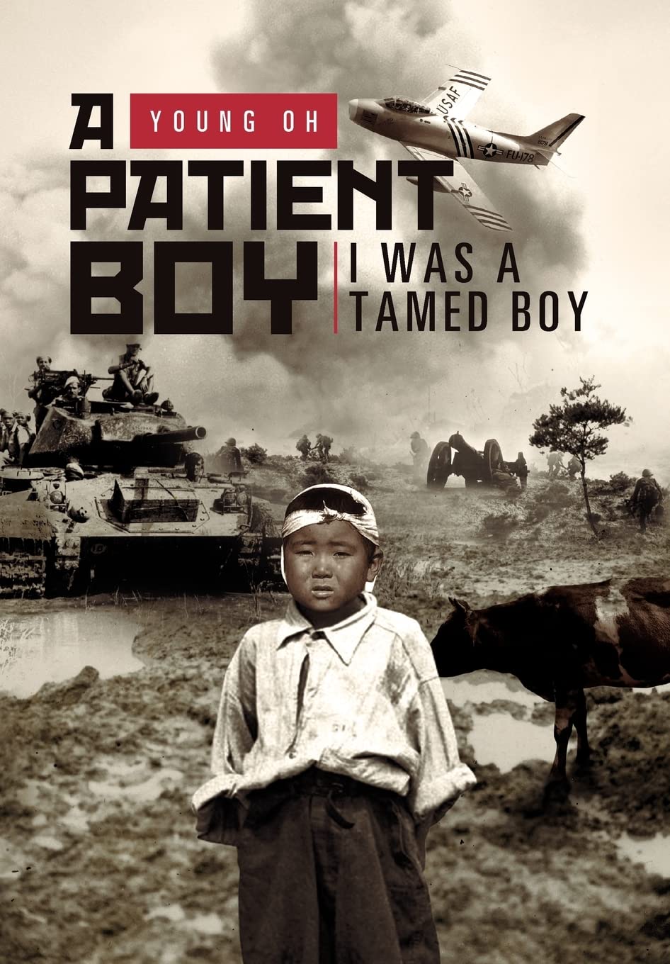 A Patient Boy: I Was A Tamed Boy,Used