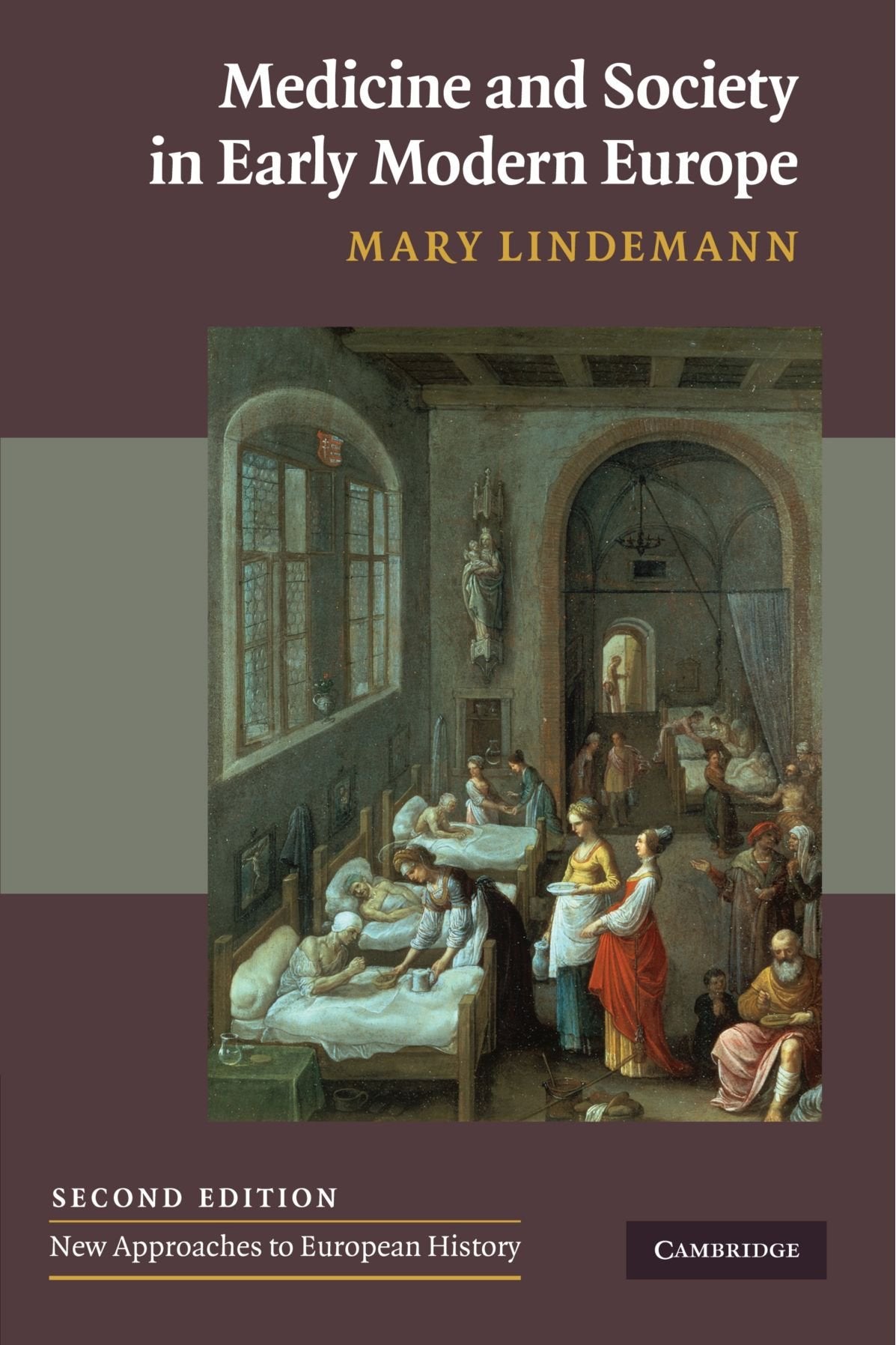 Medicine And Society In Early Modern Europe (New Approaches To European History)