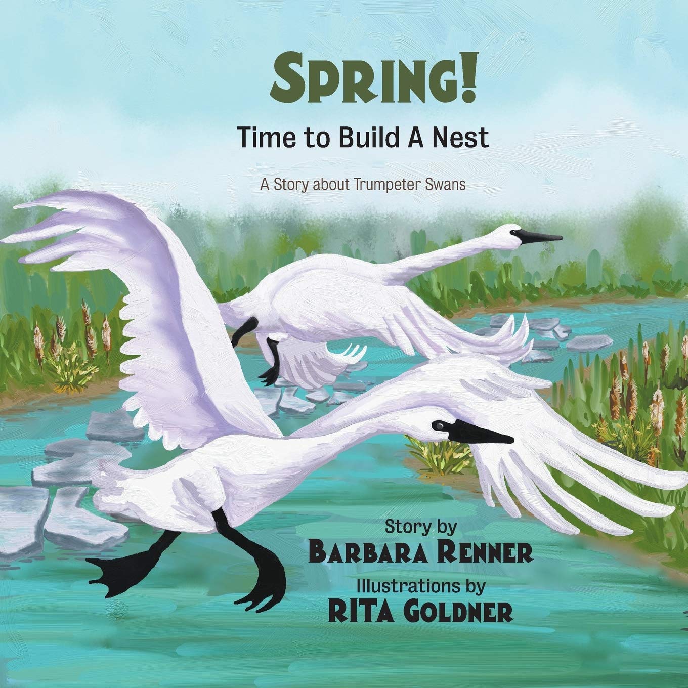 SPRING! Time to Build a Nest, A Story about Trumpeter Swans,Used