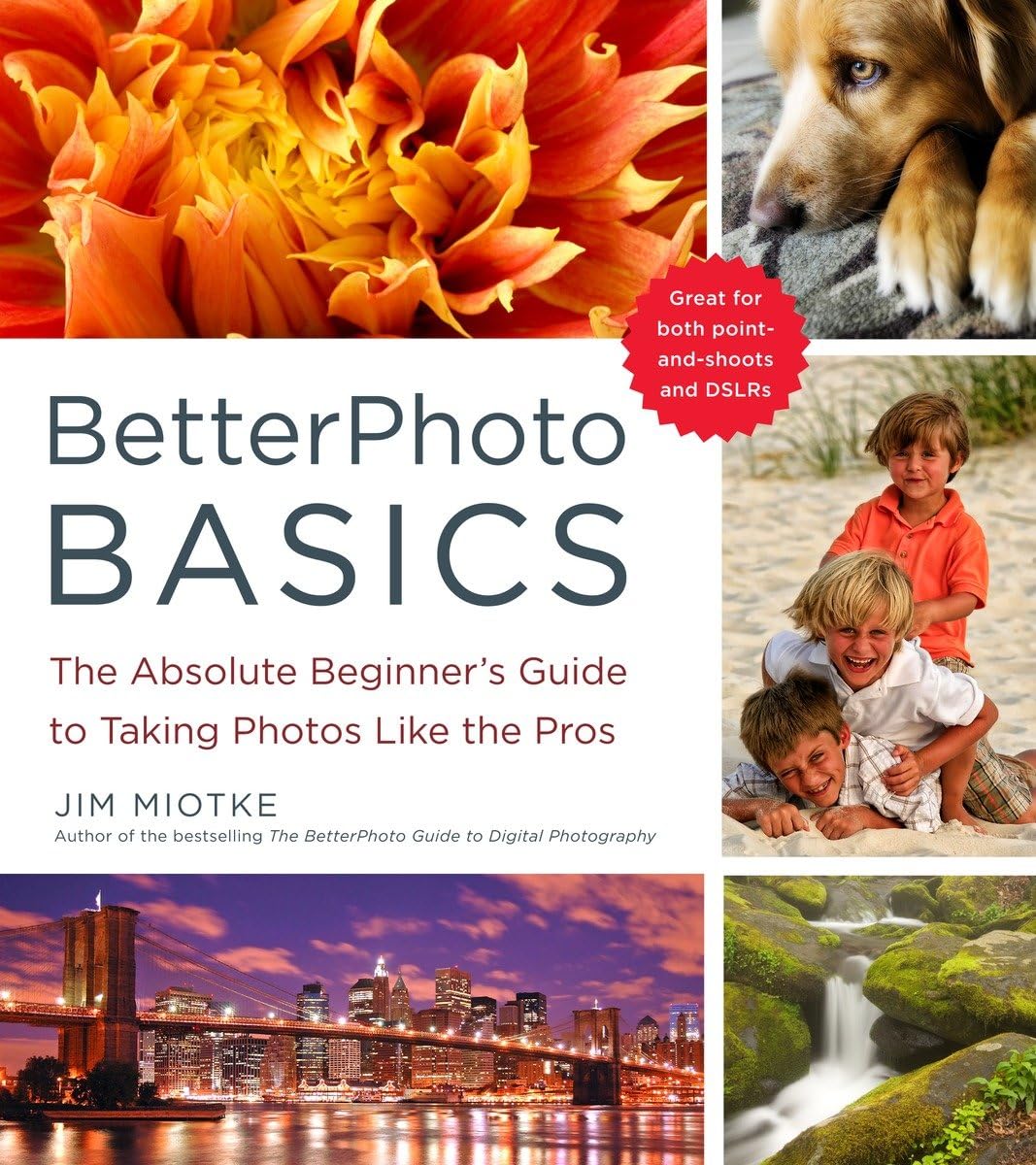BetterPhoto Basics: The Absolute Beginner's Guide to Taking Photos Like a Pro,New