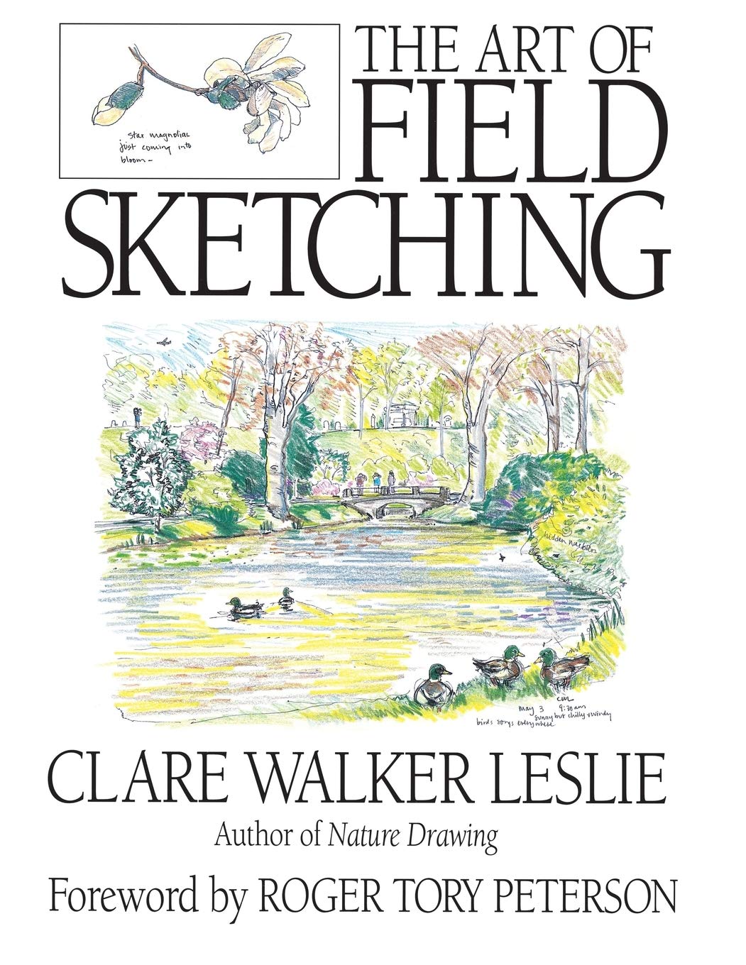Field Sketching,Used