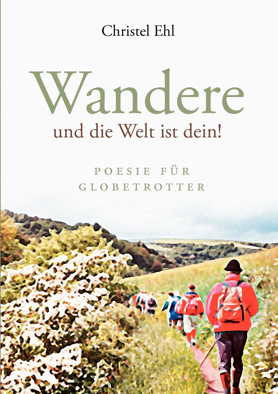 Wandere und die Welt ist dein!: Poesie fr Globetrotter (German Edition),Used