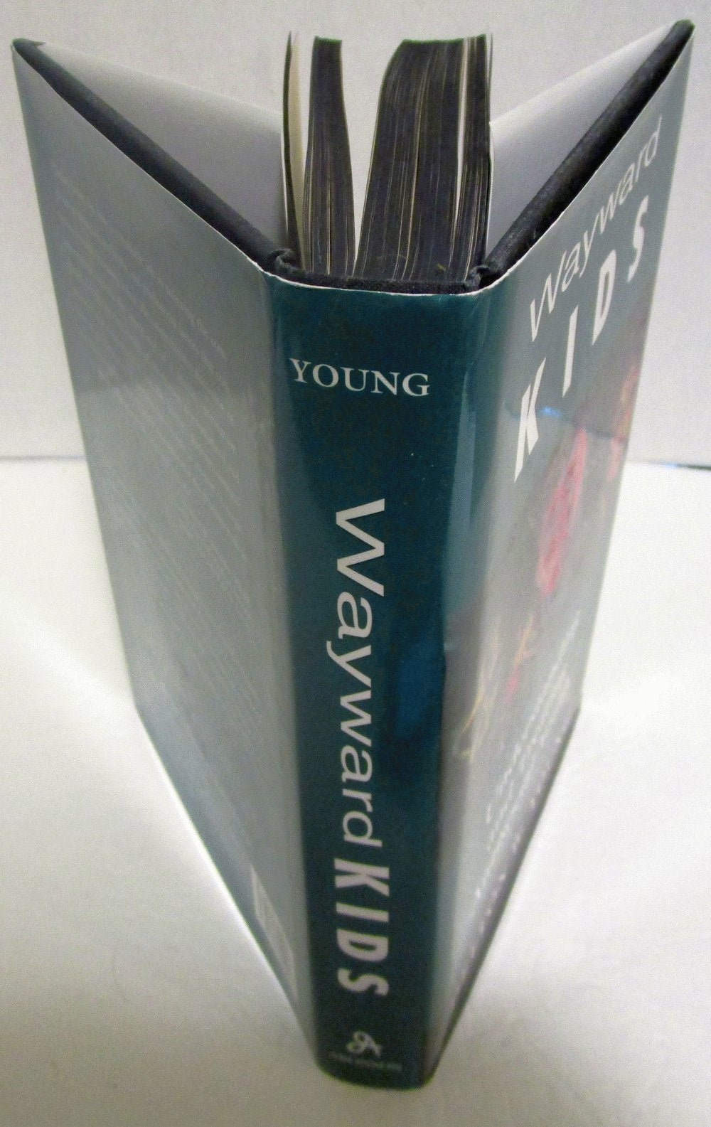 Wayward Kids: Understanding and Treating Antisocial Youths,Used