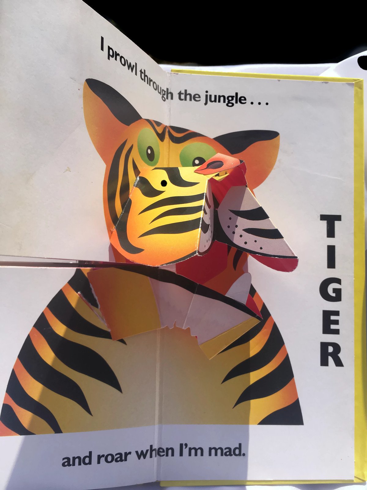 NEW AT THE ZOO (MixAndMatch PopUp Book),New