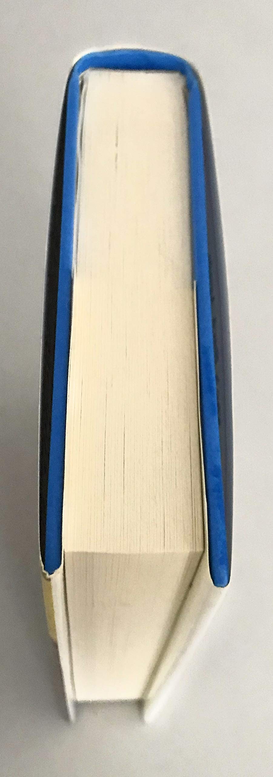 The Password to Larkspur Lane (Nancy Drew, Book 10),Used