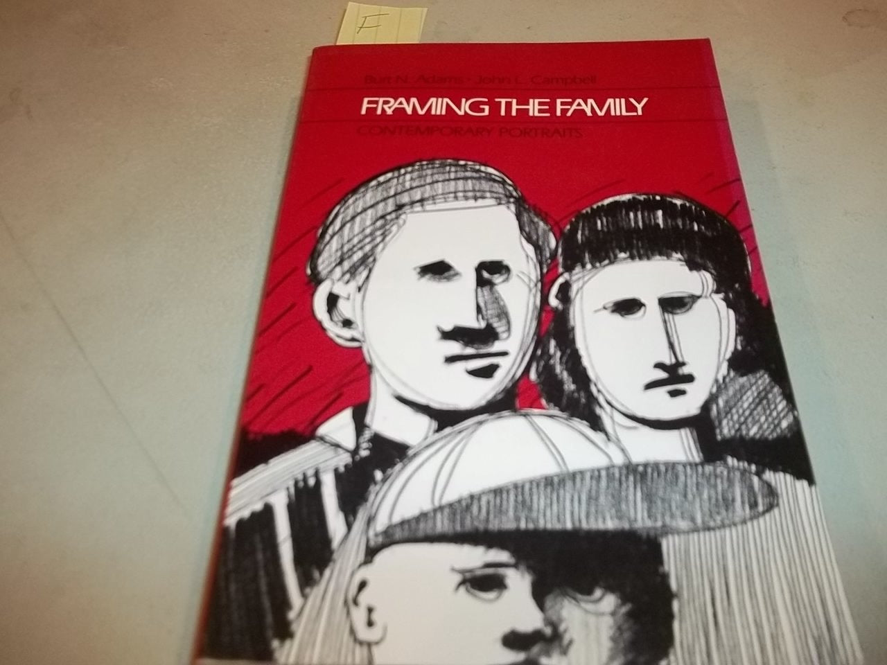 Framing the Family: Contemporary Portraits,Used