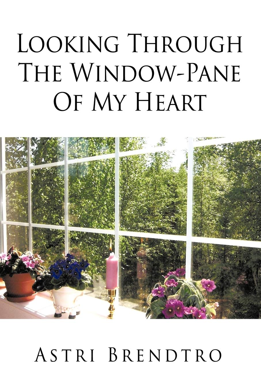 Looking Through The WindowPane Of My Heart,Used