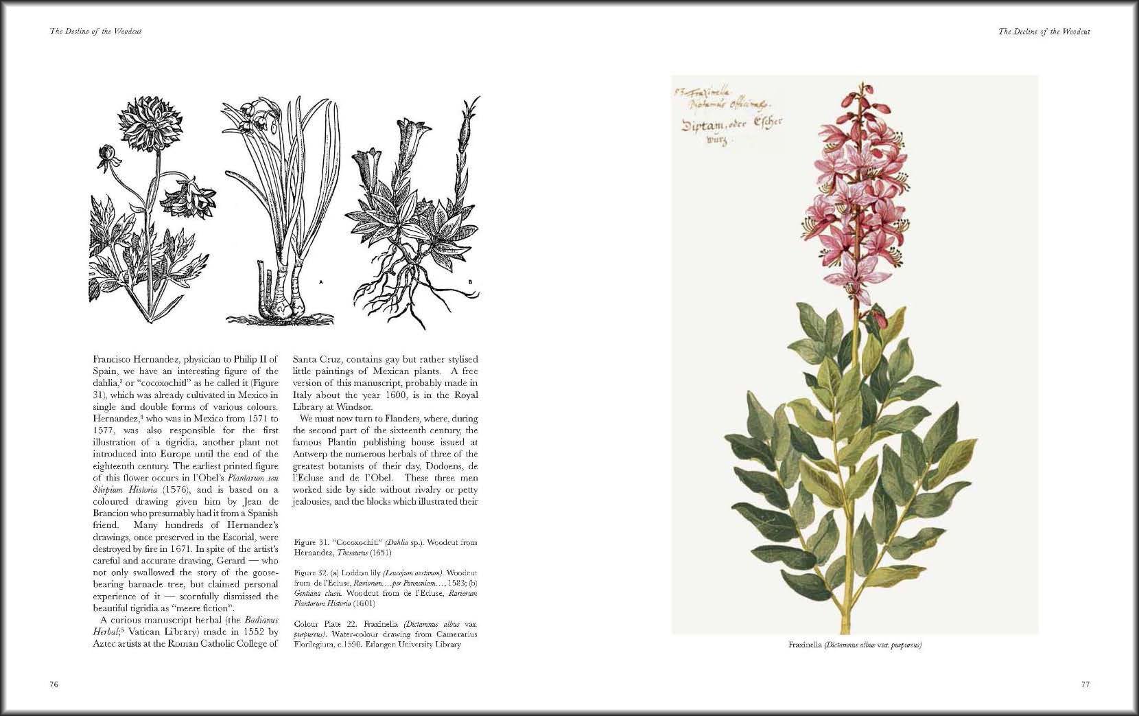 Art of Botanical Illustration,Used