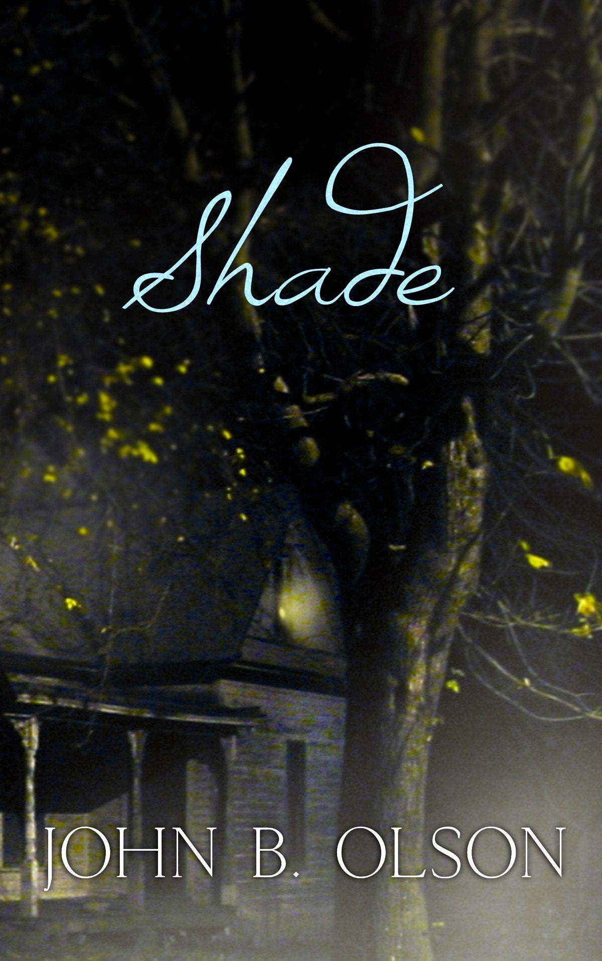 Shade (Christian Mystery),Used