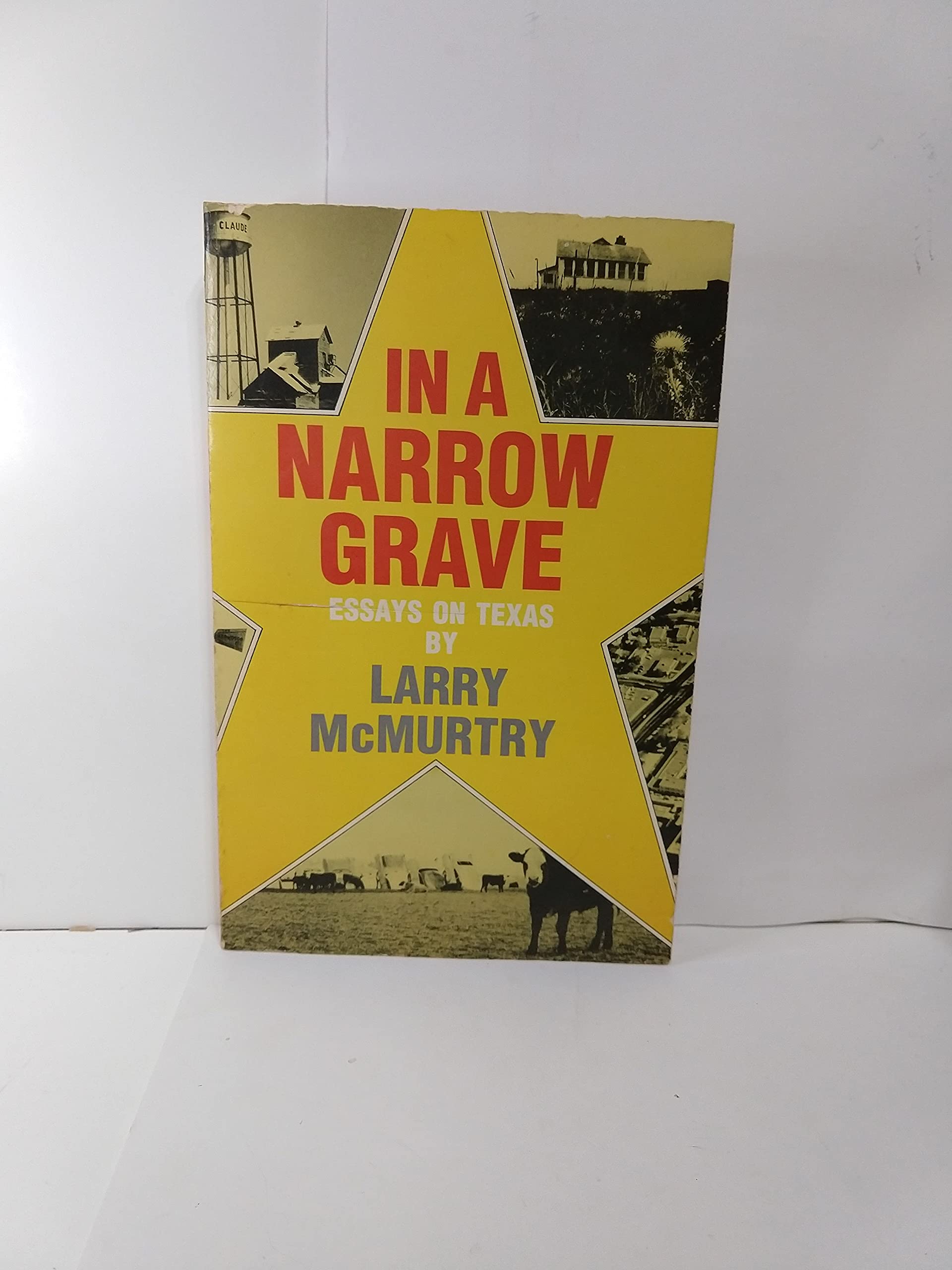 In a Narrow Grave: Essays on Texas,Used