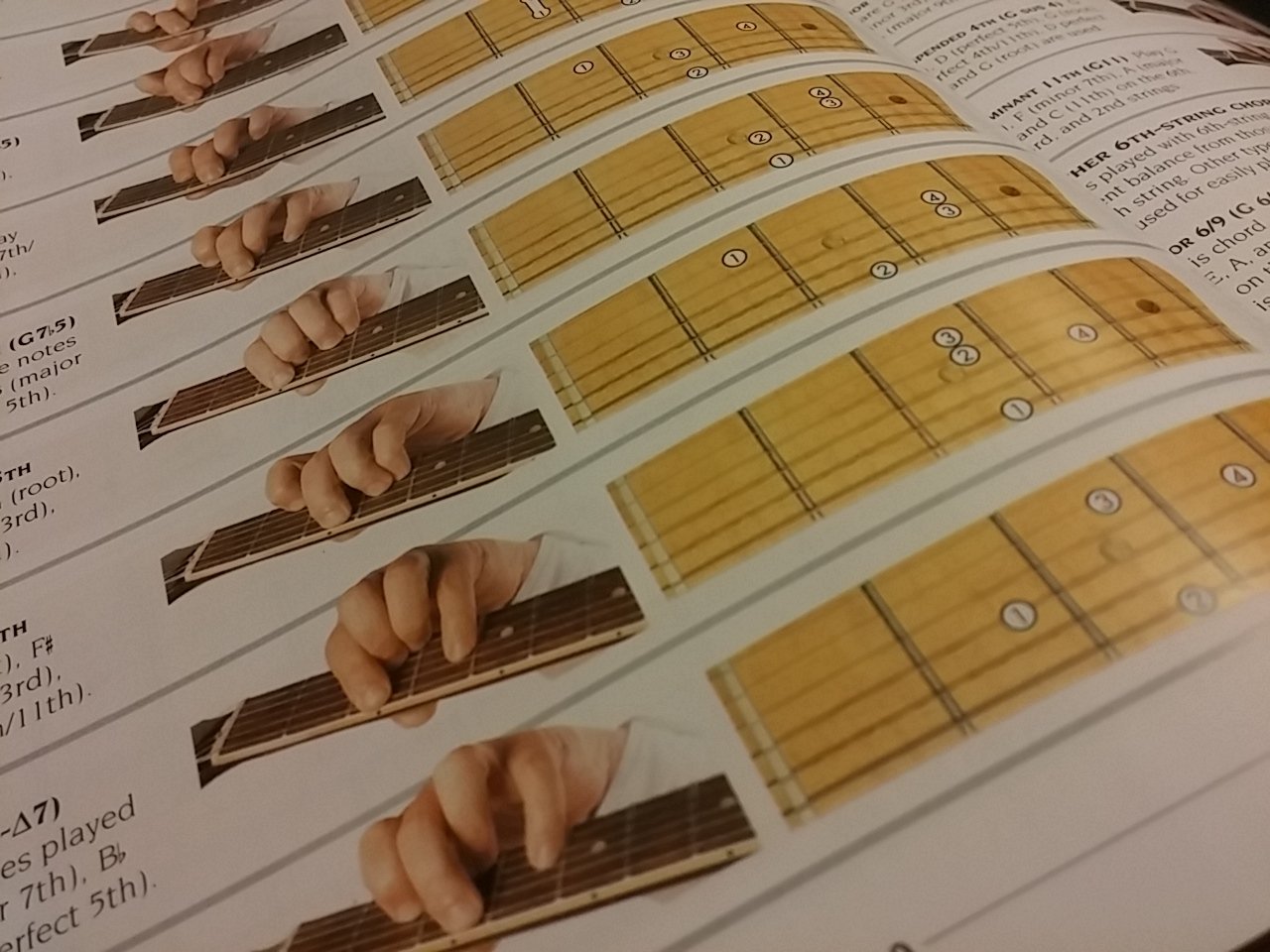 The New Complete Guitarist,Used