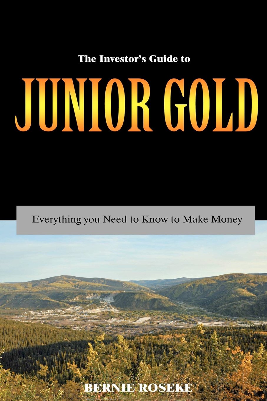 The Investor'S Guide To Junior Gold: Everything You Need To Know To Make Money,Used