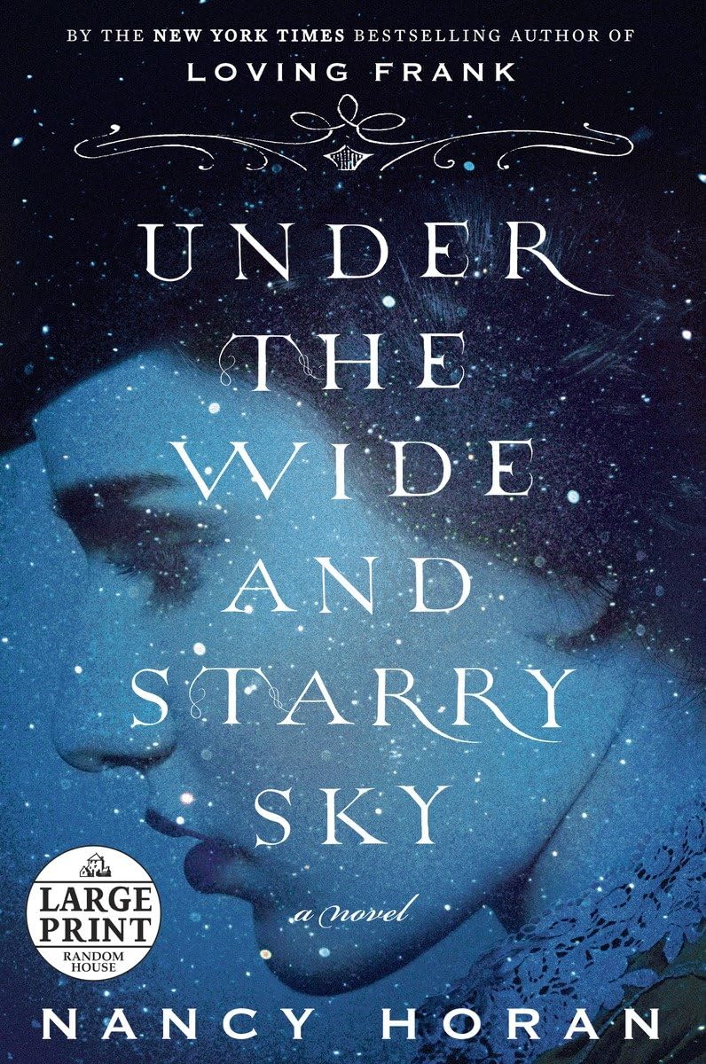 Under the Wide and Starry Sky: A Novel,Used