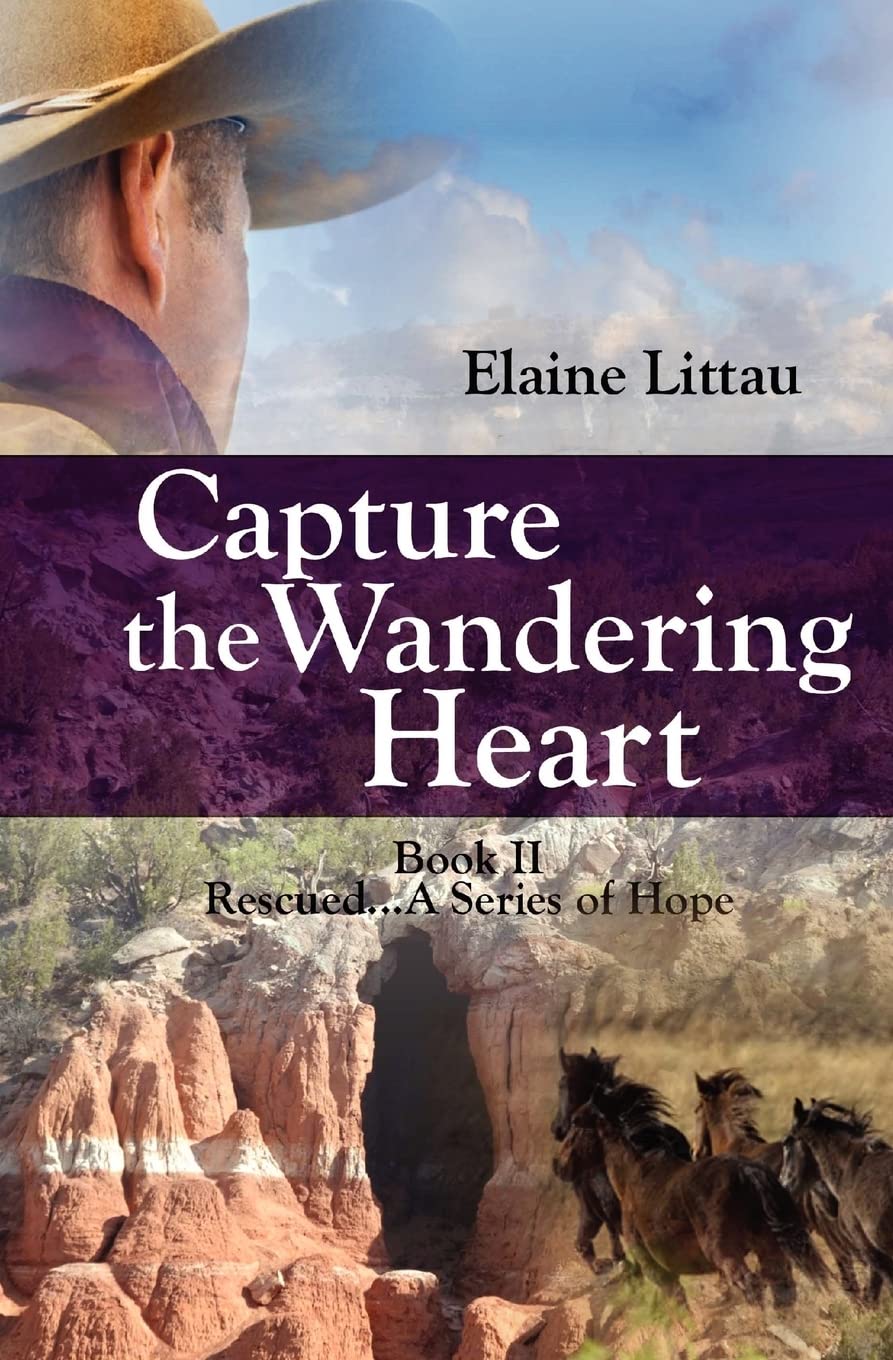 Capture The Wandering Heart: Rescued...A Series Of Hope,Used