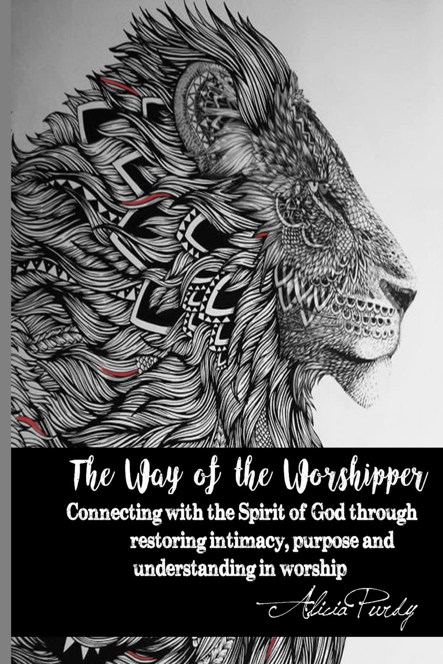 The Way of the Worshipper: Connecting to the Spirit of God through restoring intimacy, purpose and understanding in worship,Used