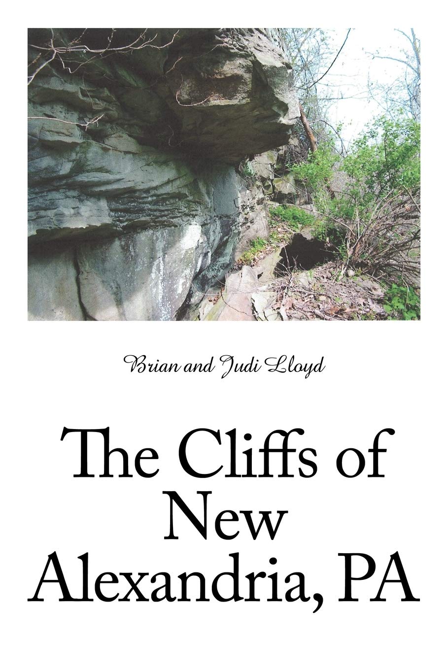 The Cliffs of New Alexandria, Pa,Used
