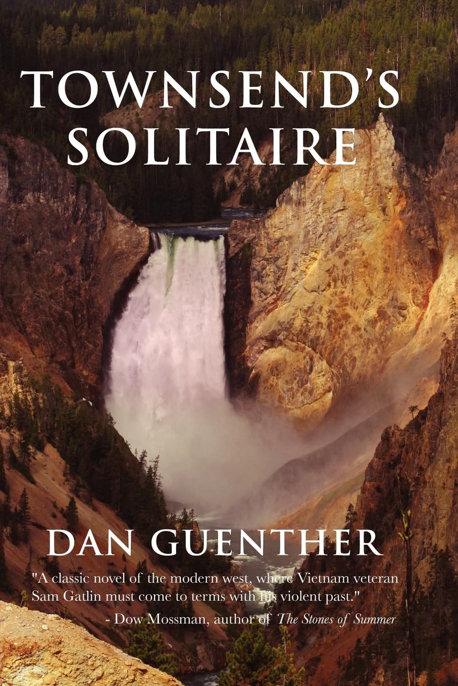 Townsend'S Solitaire,Used