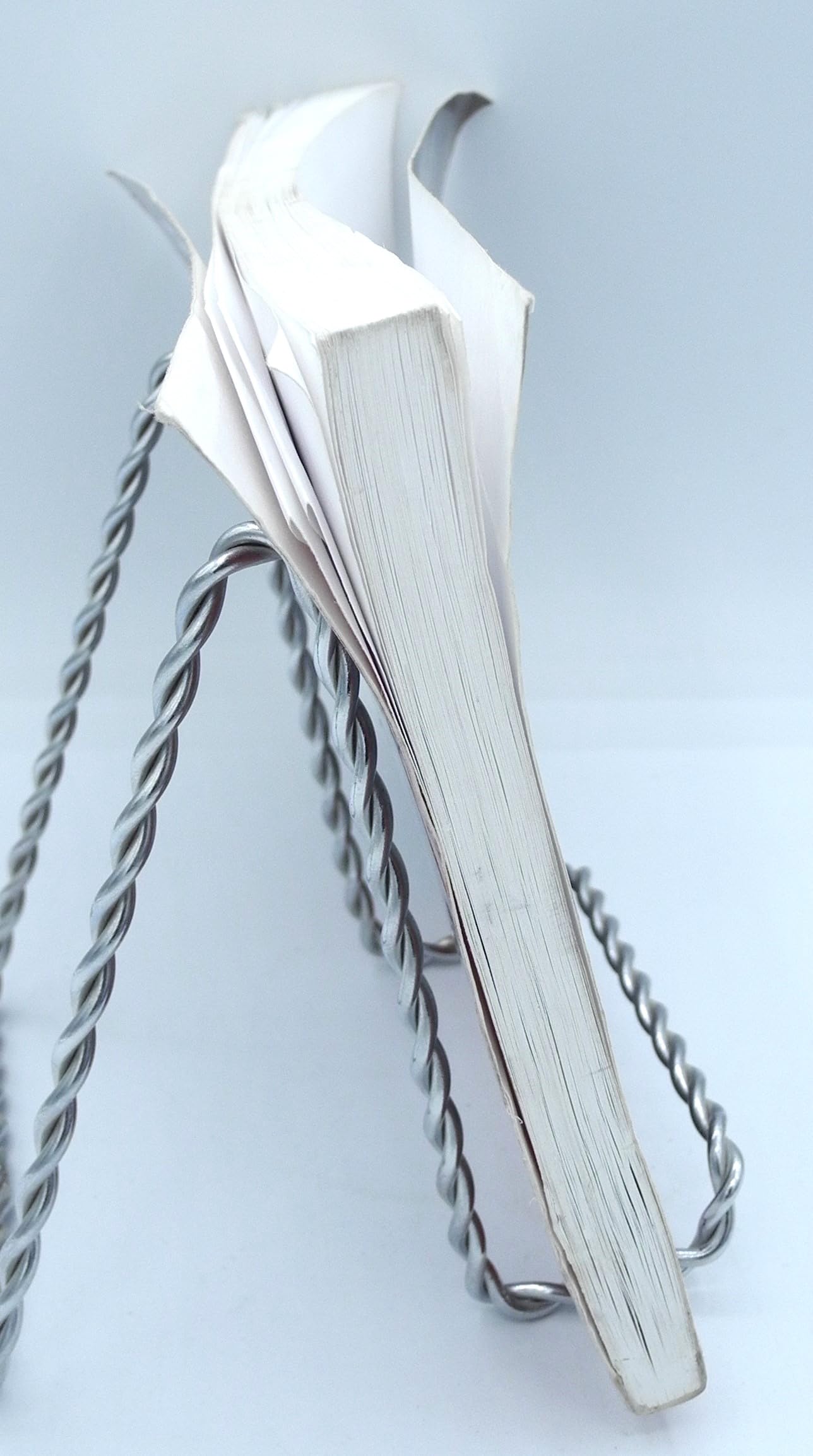 From Ruby Ridge To Freedom: The Sara Weaver Story,New