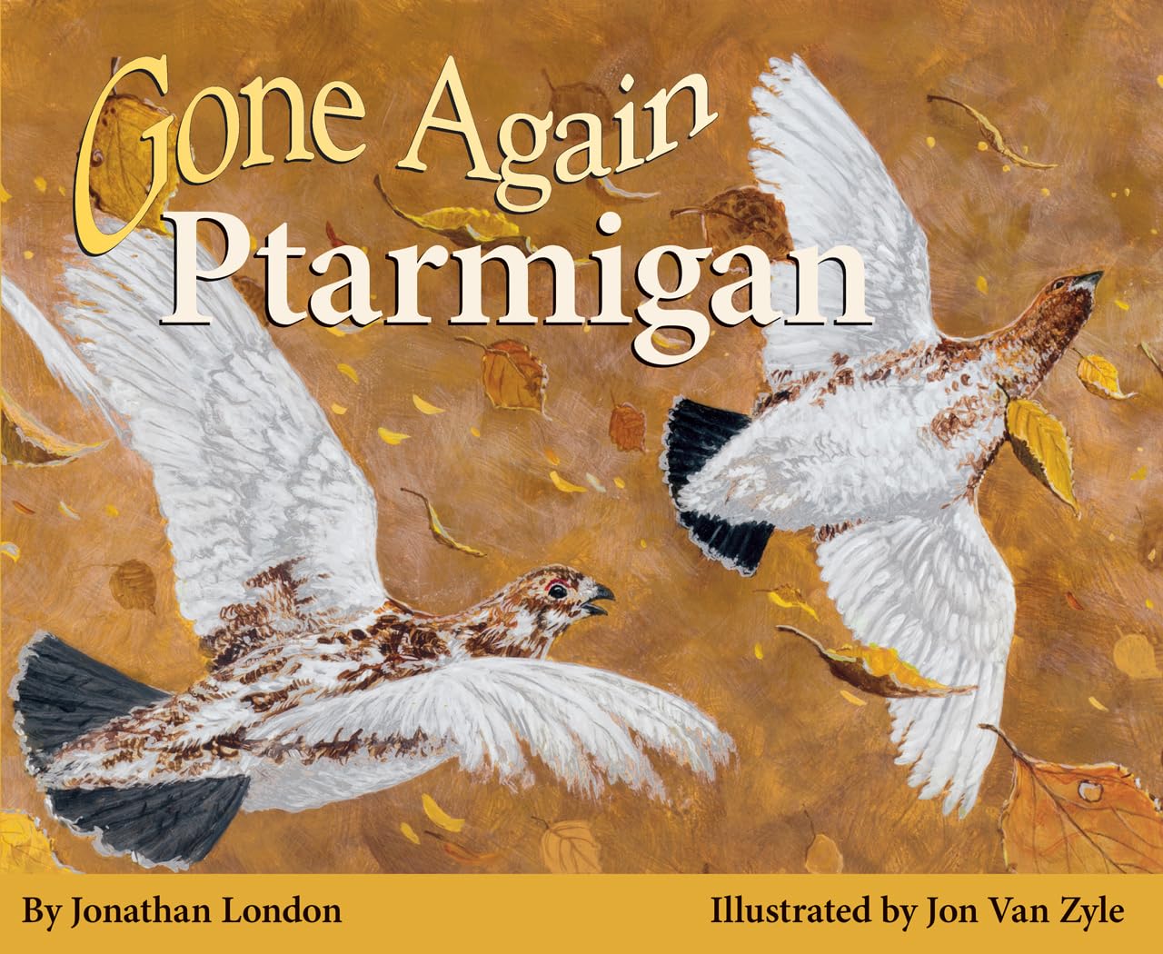 Gone Again Ptarmigan,Used