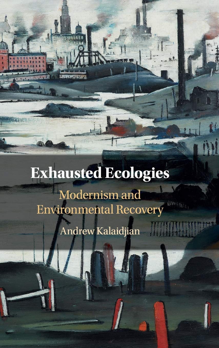 Exhausted Ecologies: Modernism and Environmental Recovery,Used